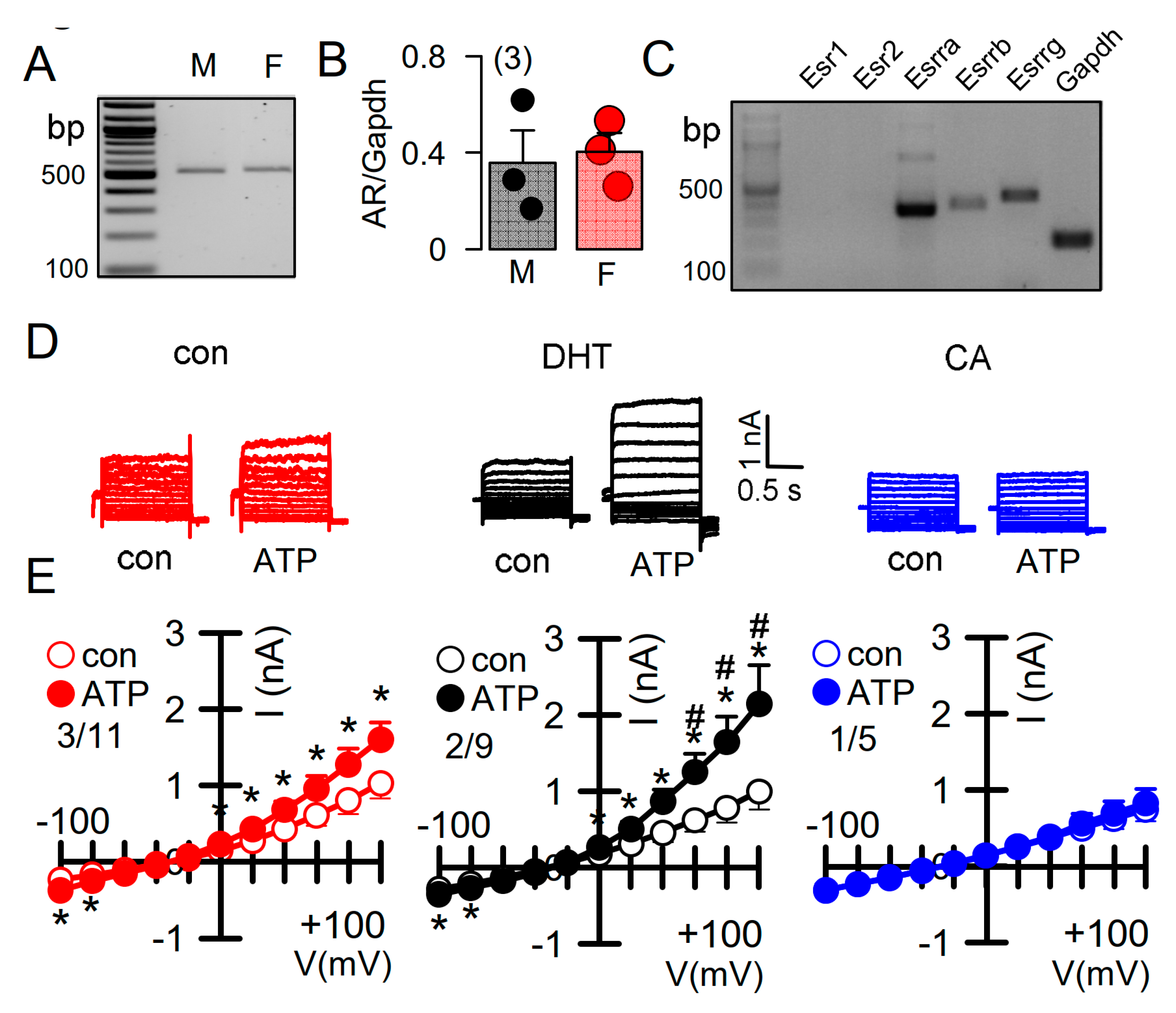 Ijms 22 06019 g005 Ijms 22 06019 g005