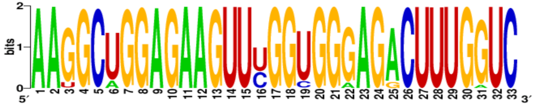 Ijms 22 06031 i003 Ijms 22 06031 i003