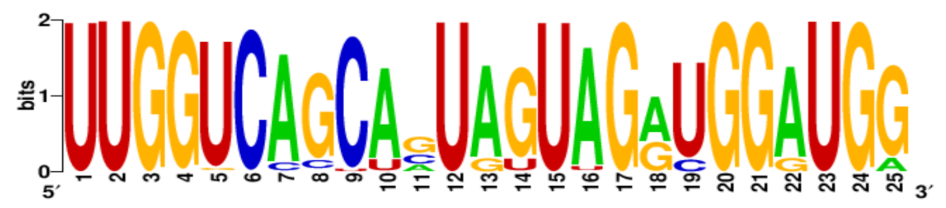 Ijms 22 06031 i004 Ijms 22 06031 i004