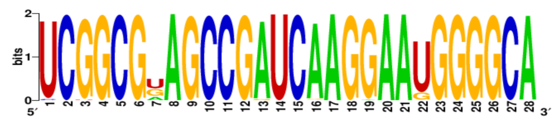 Ijms 22 06031 i005 Ijms 22 06031 i005