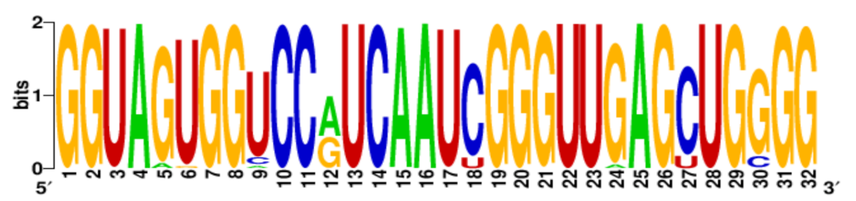 Ijms 22 06031 i007 Ijms 22 06031 i007