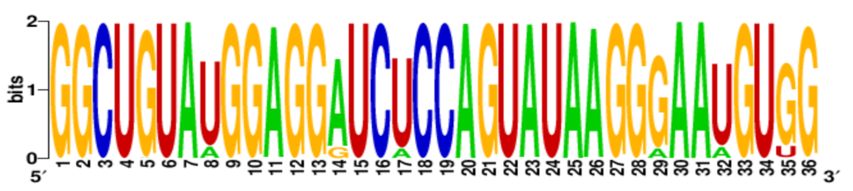 Ijms 22 06031 i008 Ijms 22 06031 i008