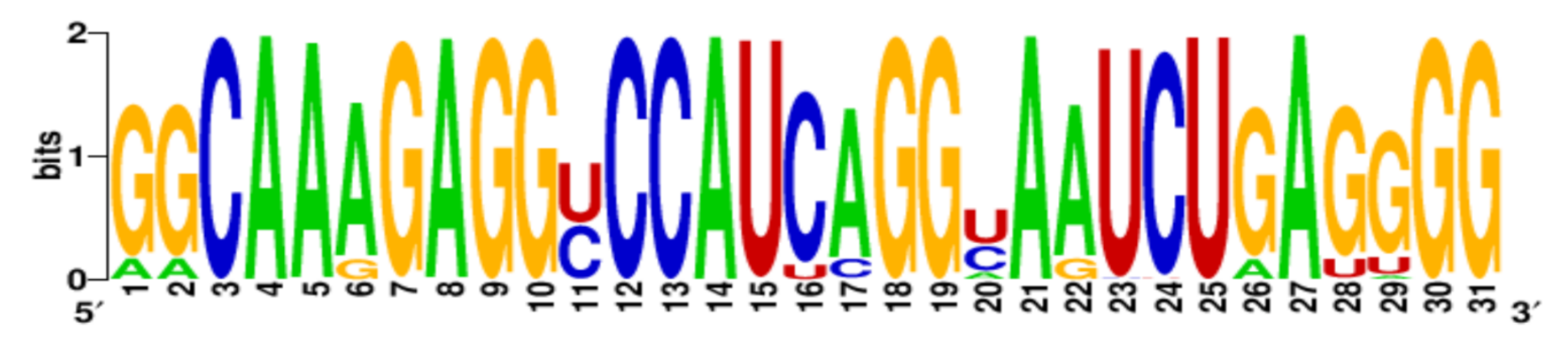 Ijms 22 06031 i010 Ijms 22 06031 i010