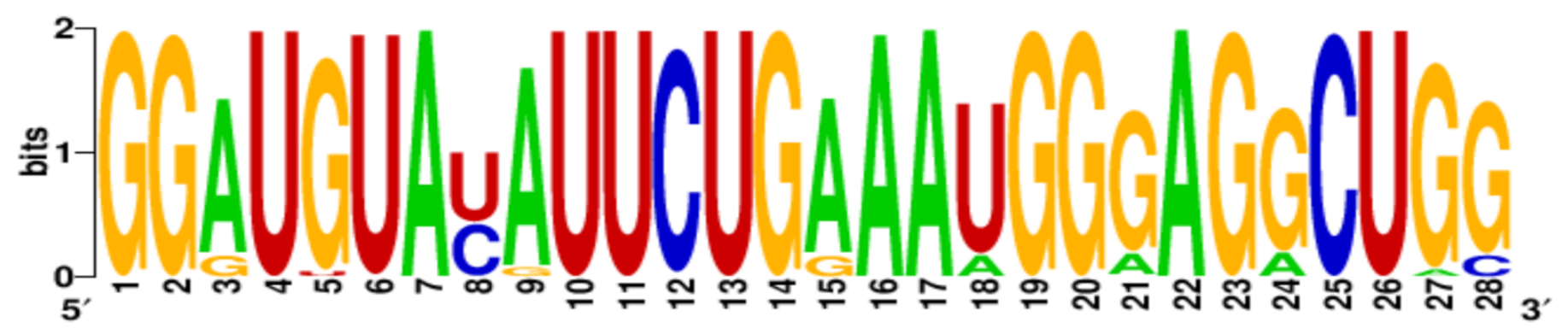 Ijms 22 06031 i011 Ijms 22 06031 i011