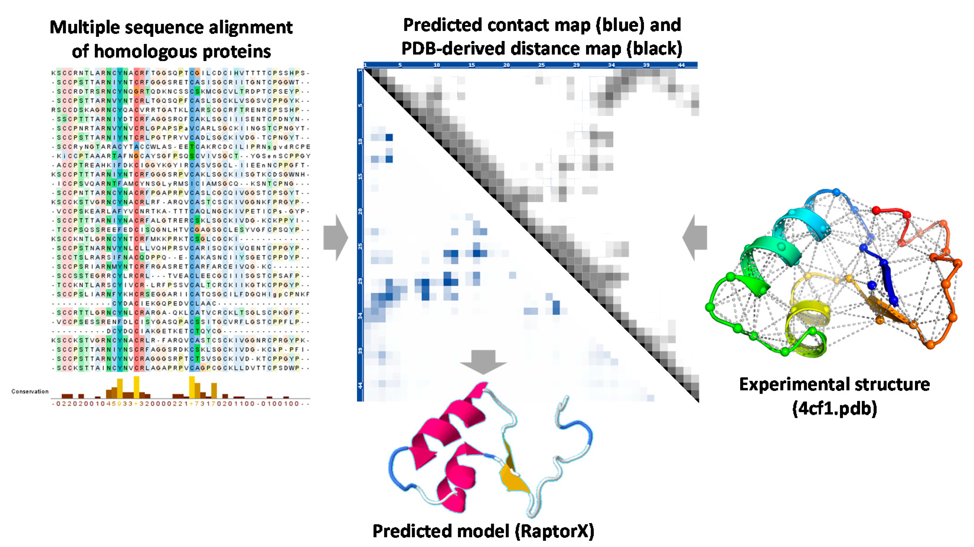 Ijms 22 06032 g002 Ijms 22 06032 g002