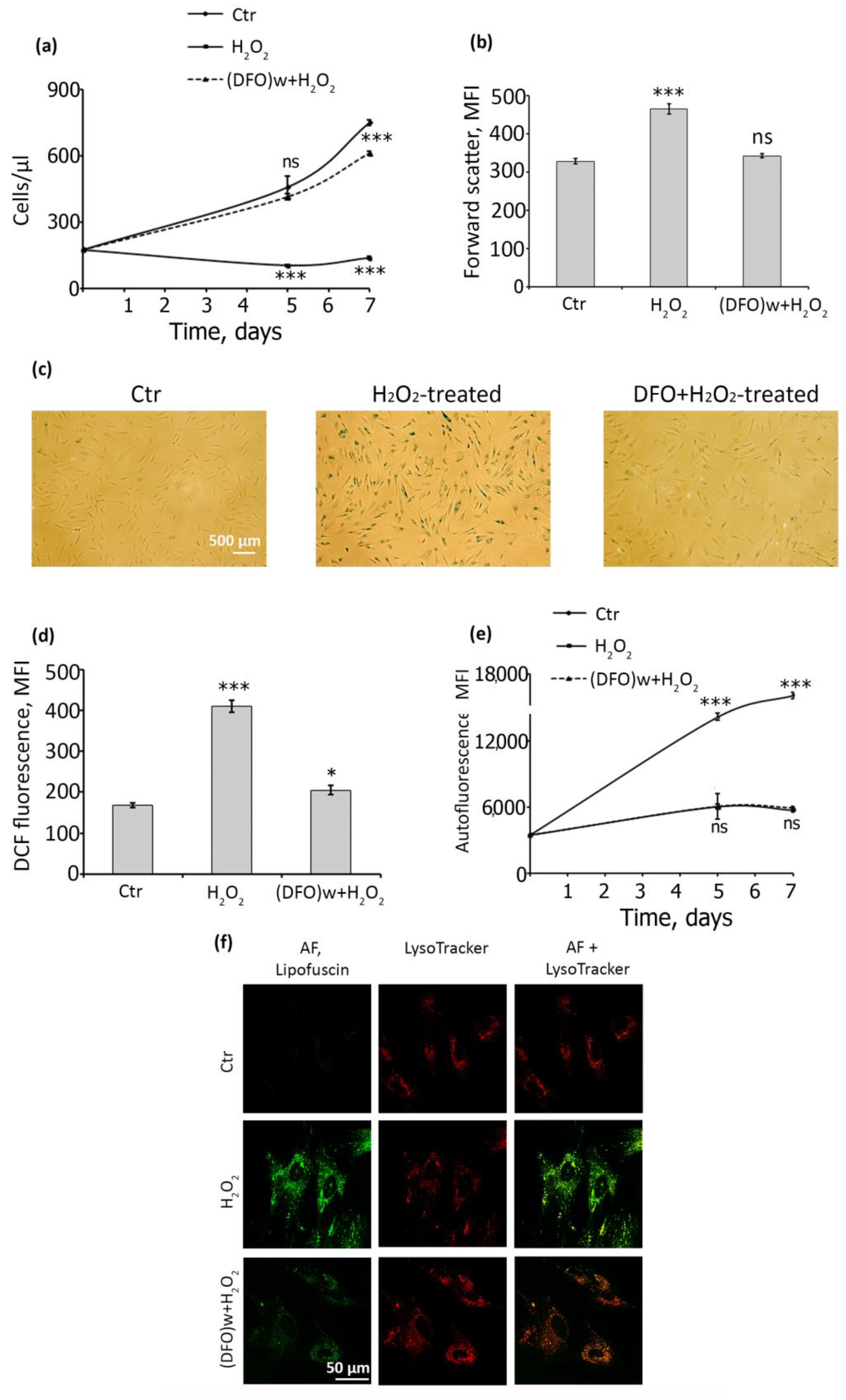 Ijms 22 06035 g002 Ijms 22 06035 g002