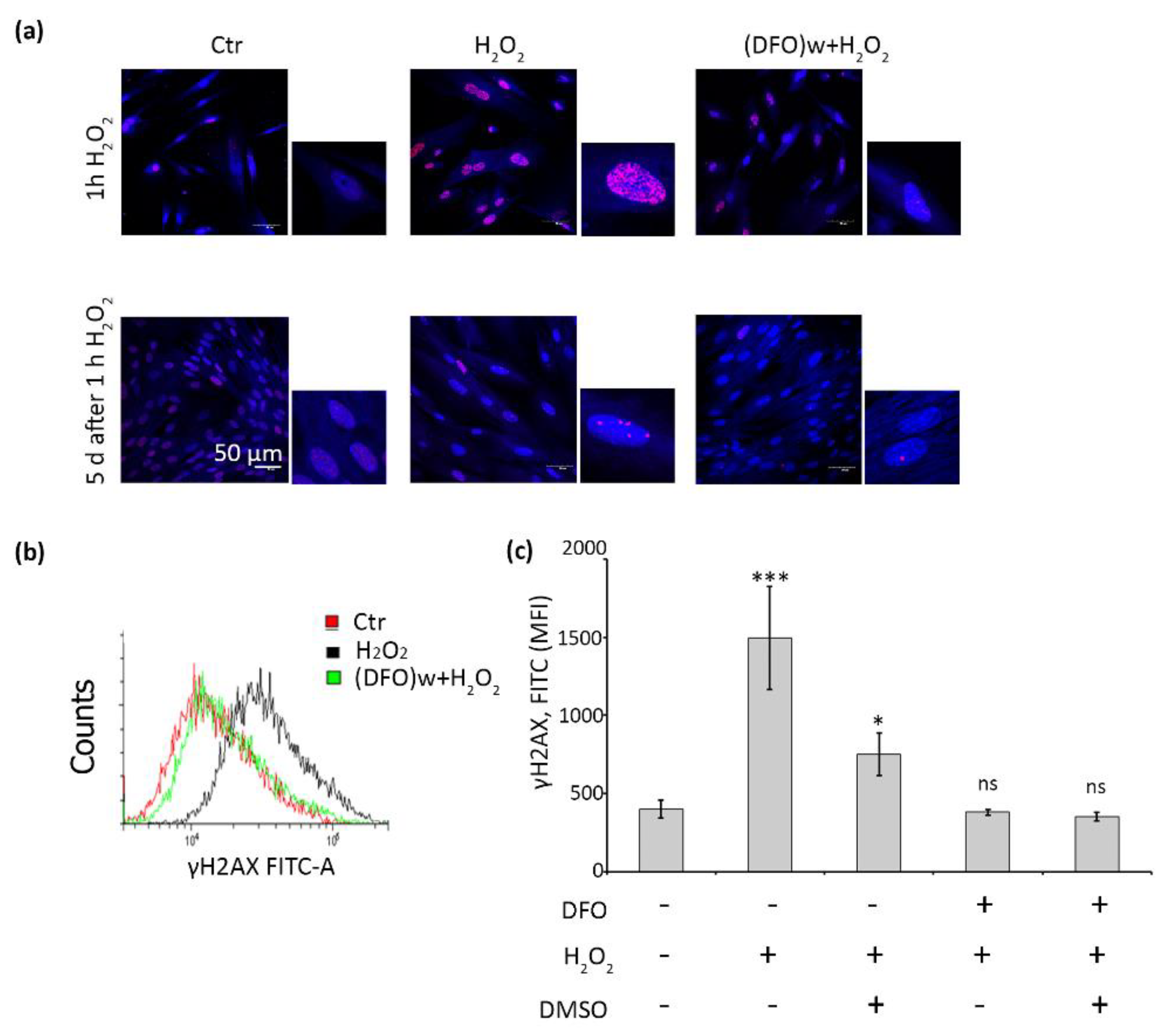 Ijms 22 06035 g005 Ijms 22 06035 g005