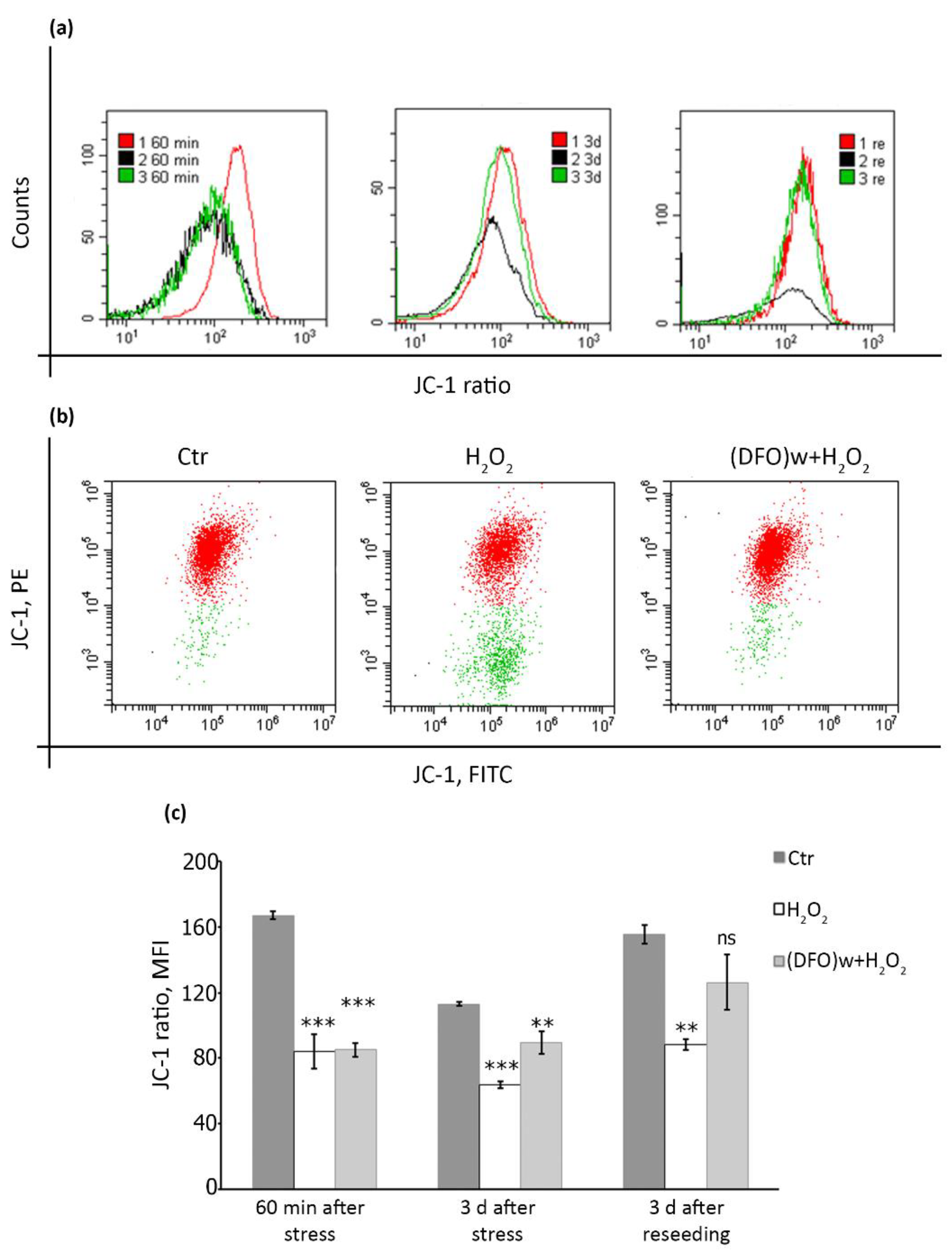Ijms 22 06035 g006 Ijms 22 06035 g006
