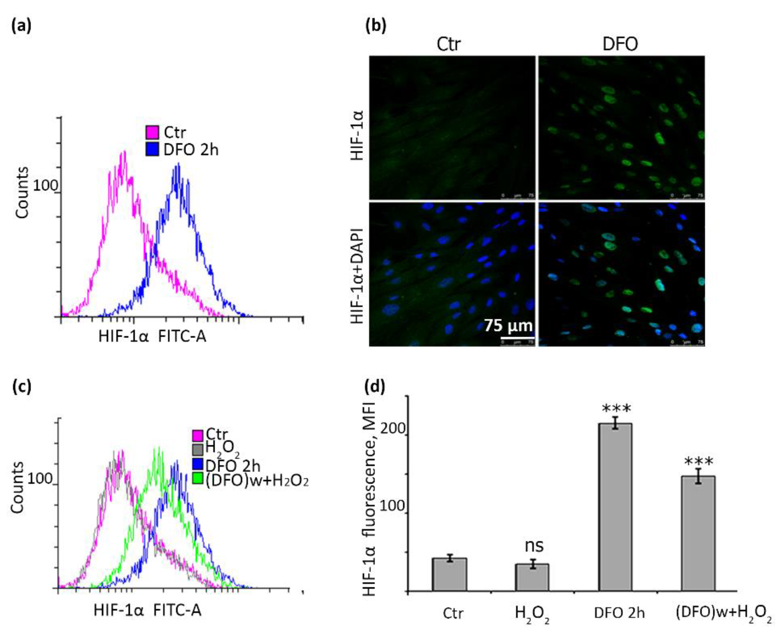 Ijms 22 06035 g007 Ijms 22 06035 g007