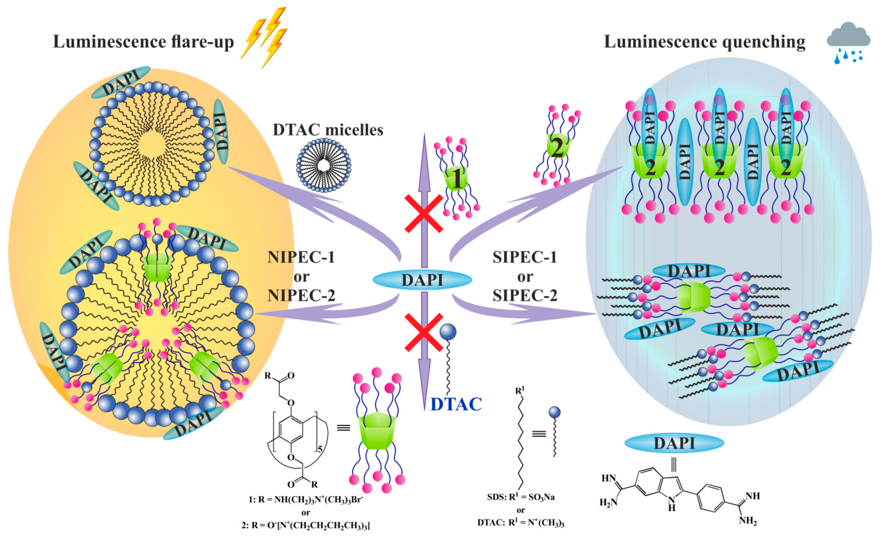 Ijms 22 06038 g006 Ijms 22 06038 g006