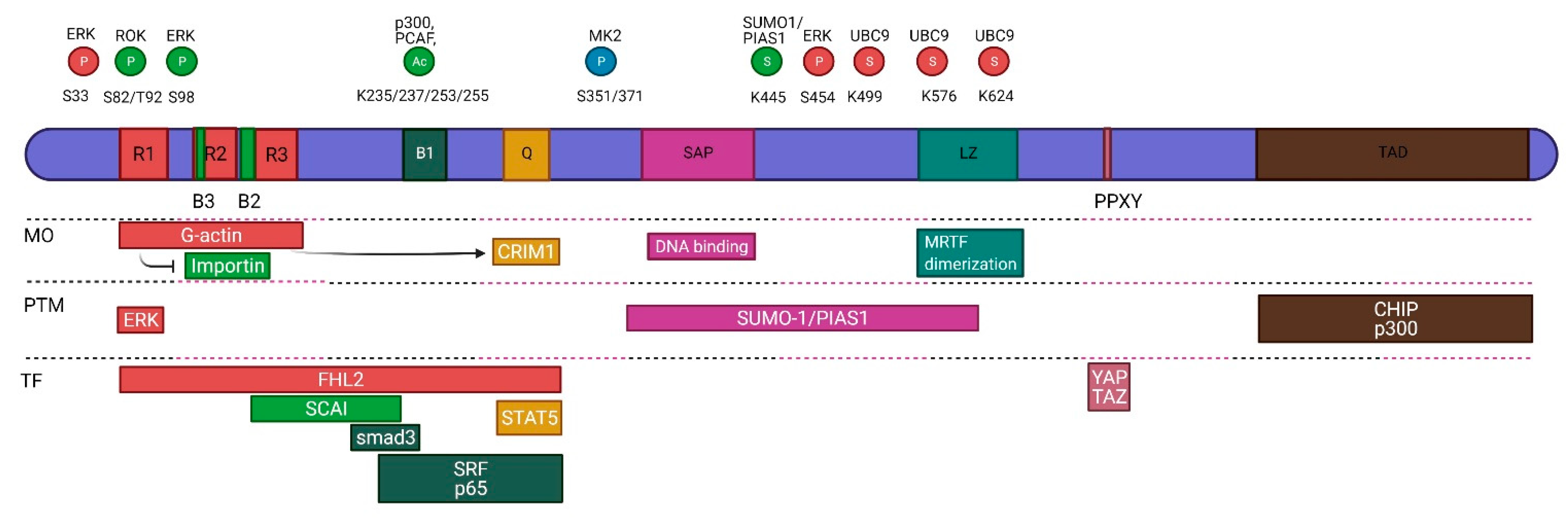 Ijms 22 06040 g002 Ijms 22 06040 g002