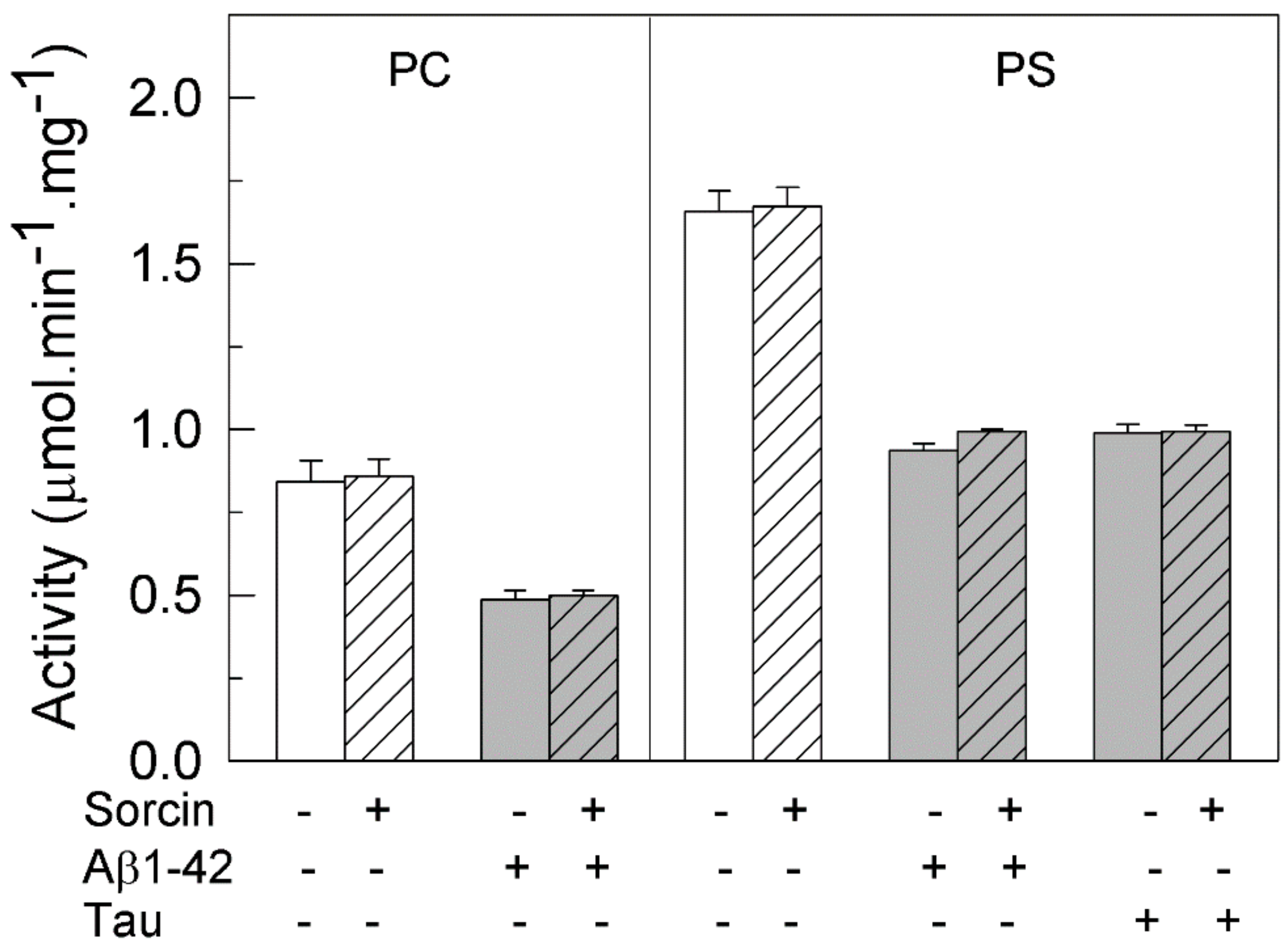 Ijms 22 06055 g002 Ijms 22 06055 g002