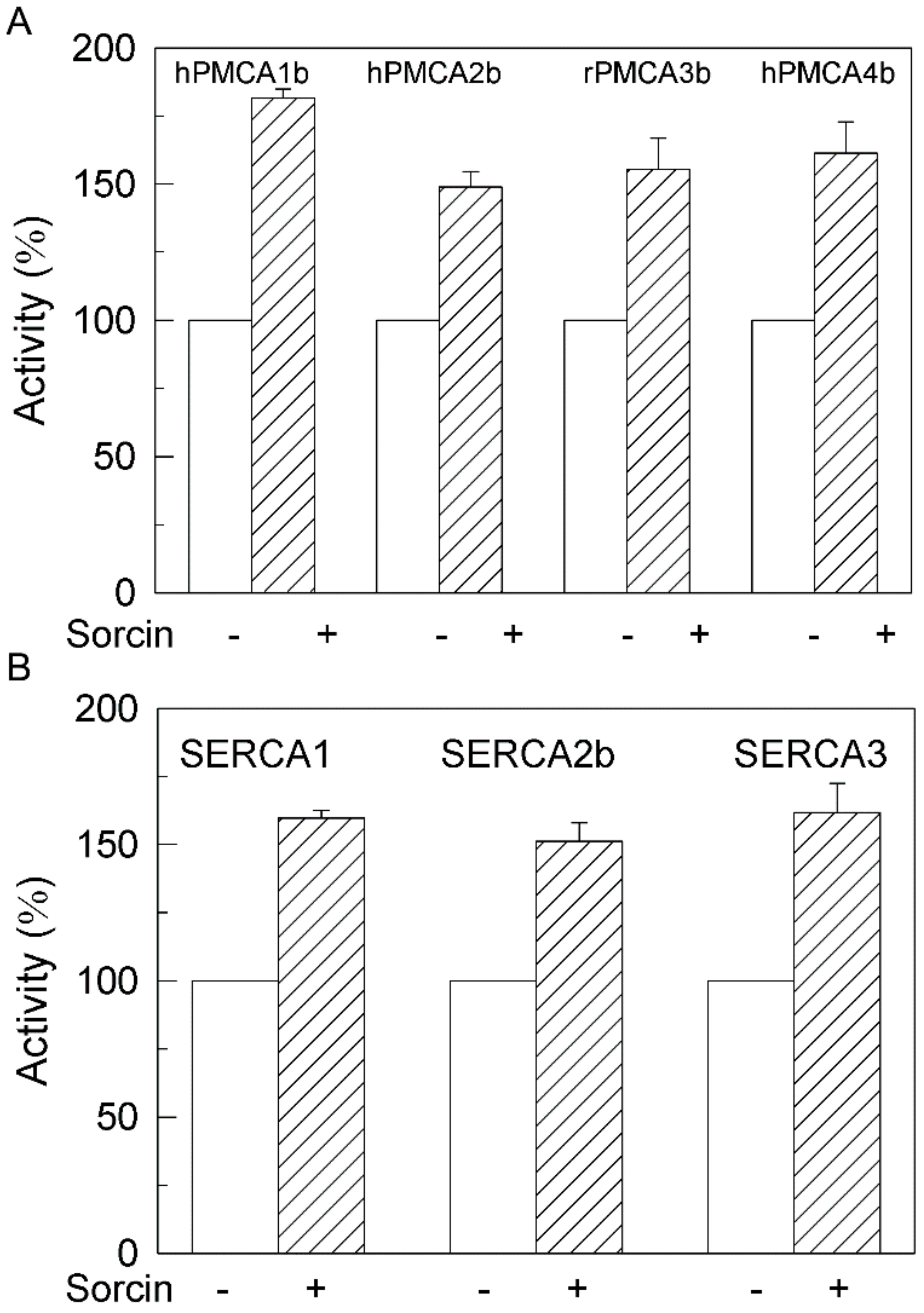 Ijms 22 06055 g003 Ijms 22 06055 g003