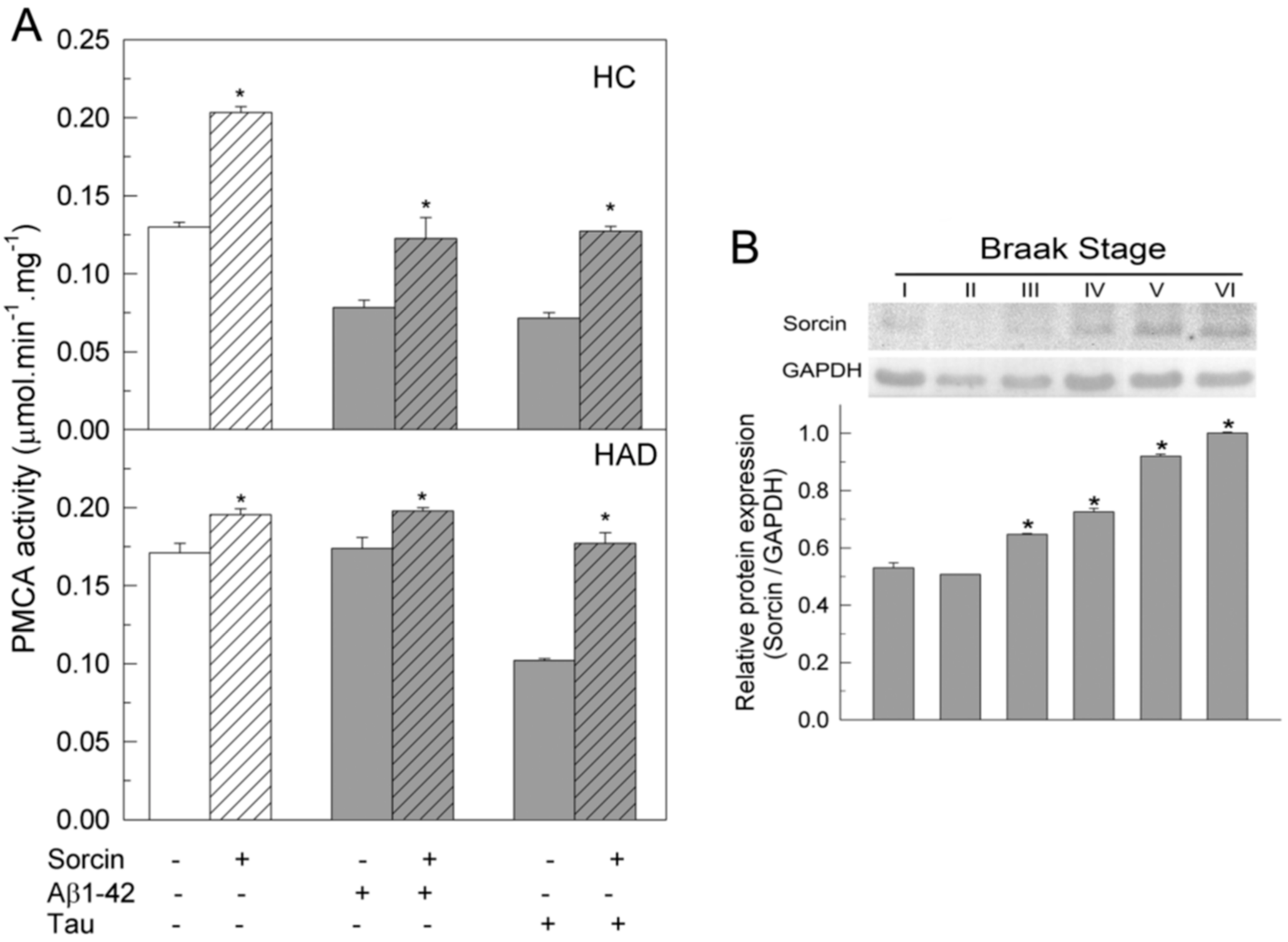 Ijms 22 06055 g005 Ijms 22 06055 g005