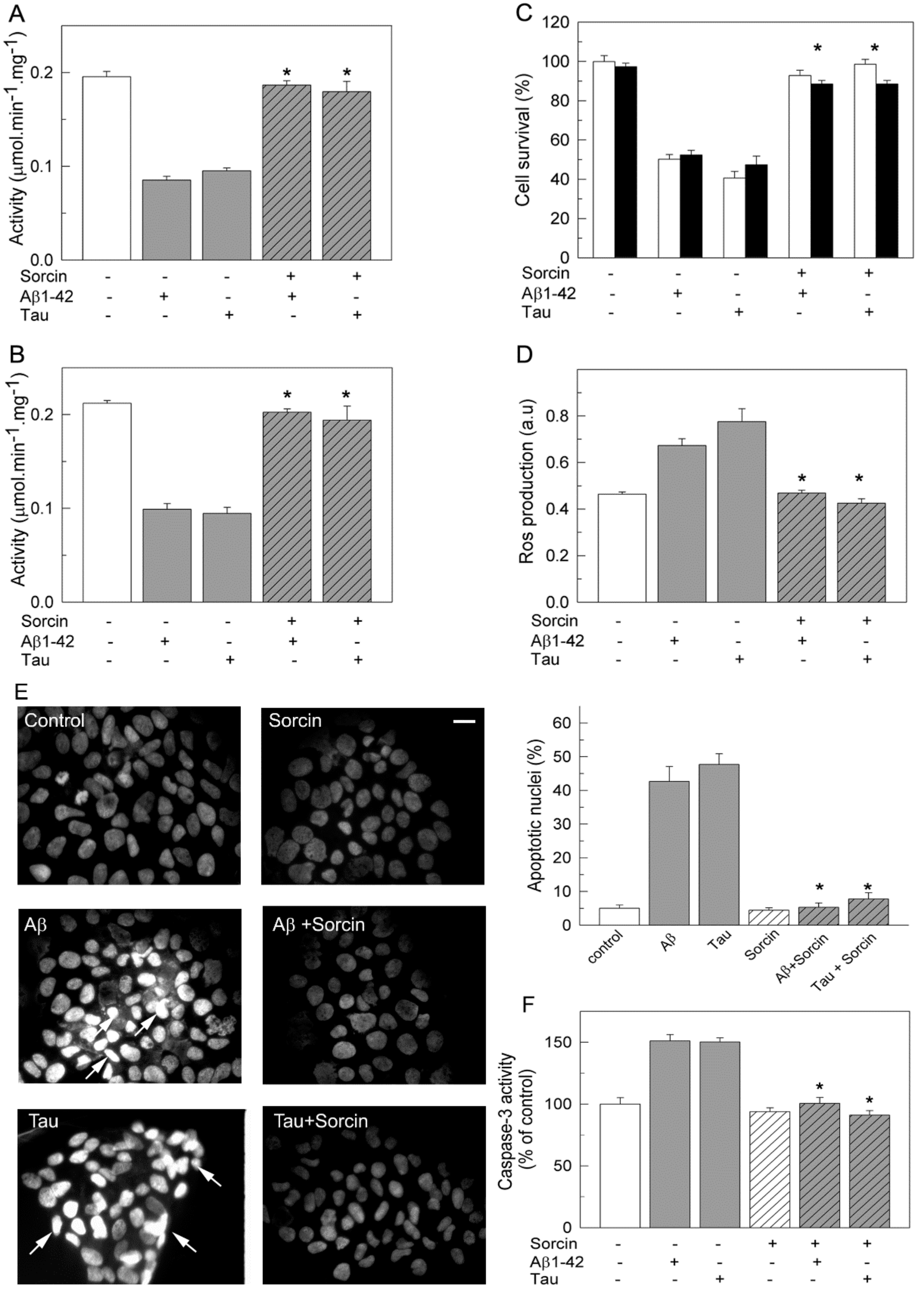 Ijms 22 06055 g006 Ijms 22 06055 g006