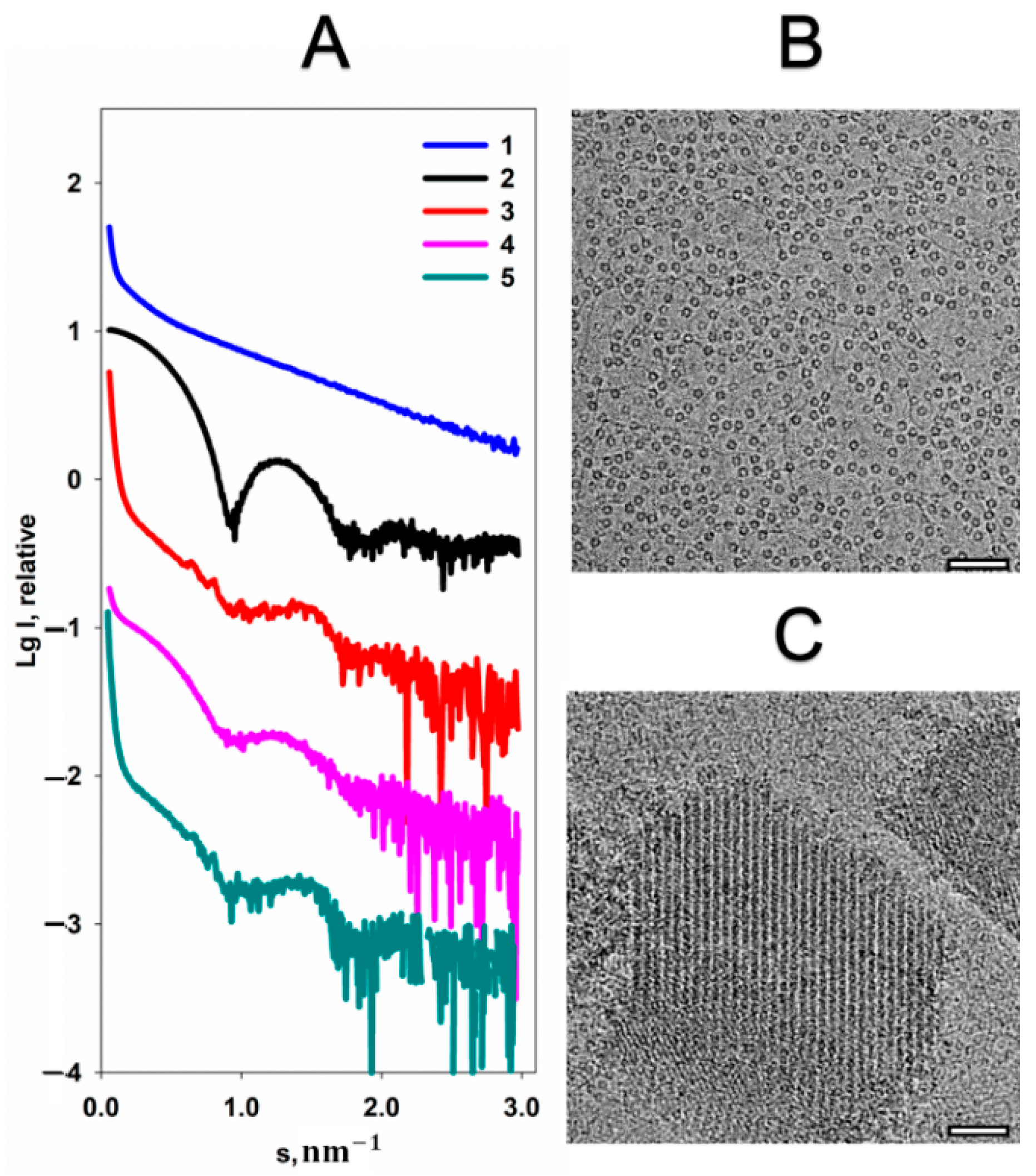 Ijms 22 06056 g001 Ijms 22 06056 g001