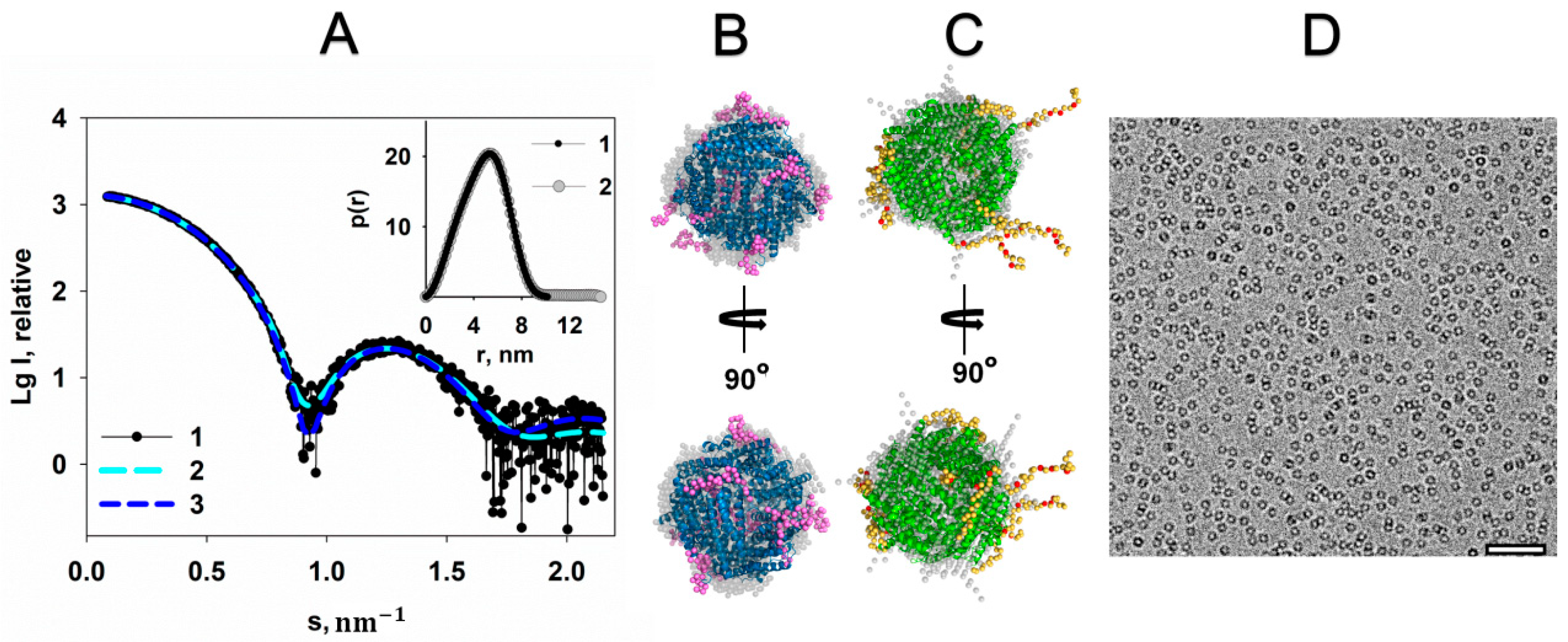Ijms 22 06056 g002 Ijms 22 06056 g002
