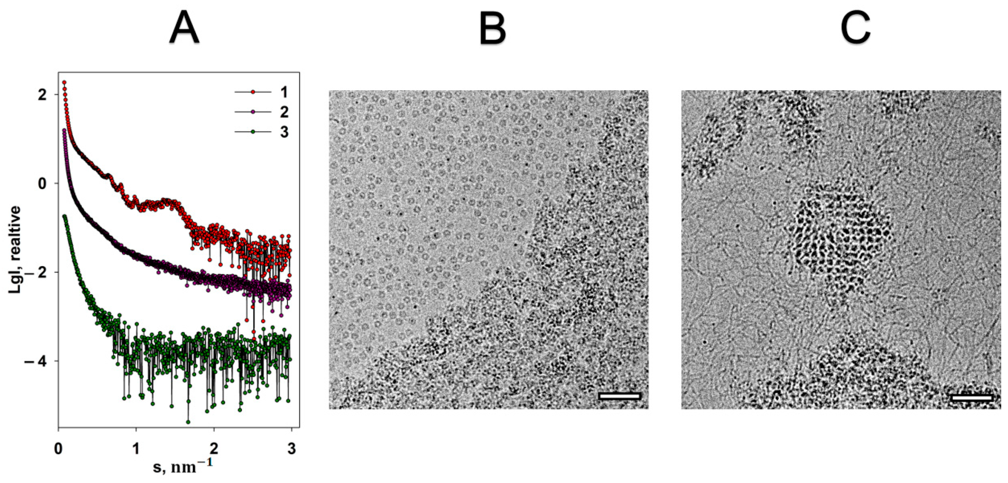 Ijms 22 06056 g003 Ijms 22 06056 g003