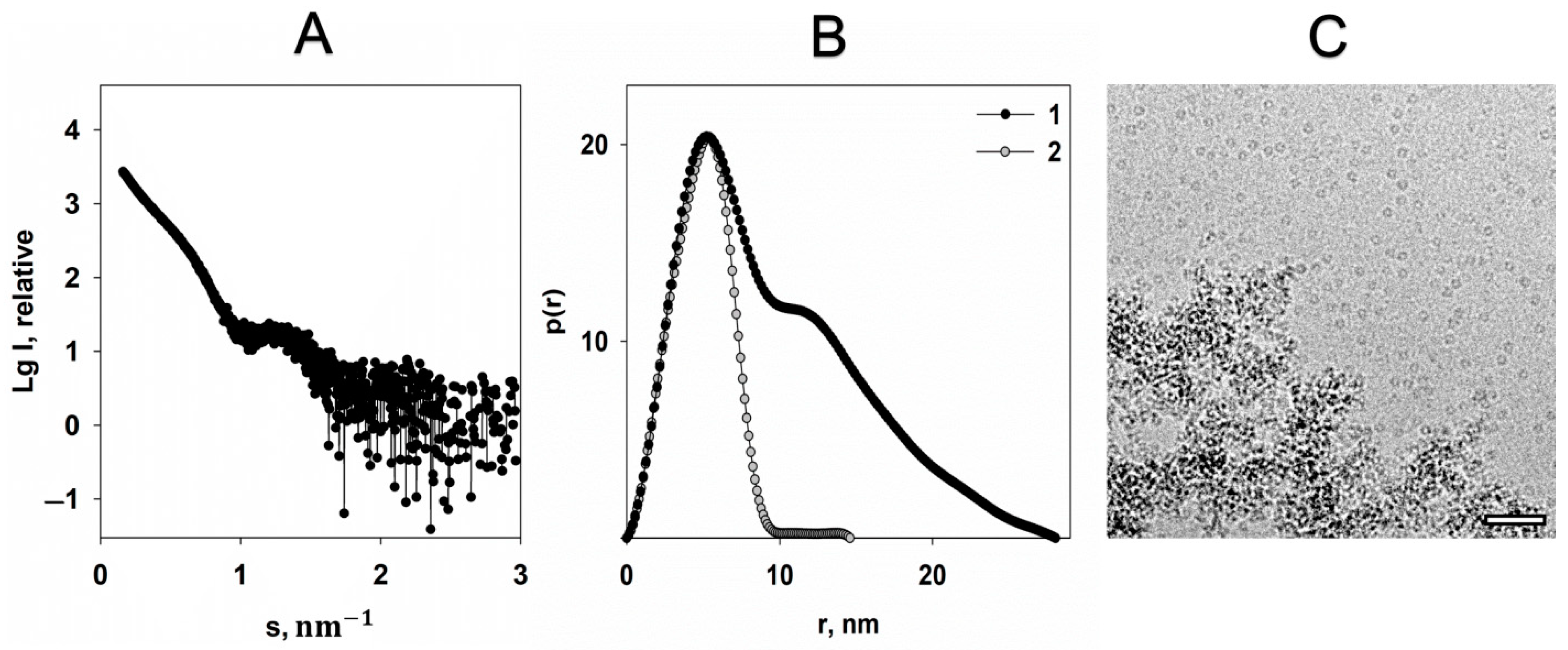 Ijms 22 06056 g004 Ijms 22 06056 g004
