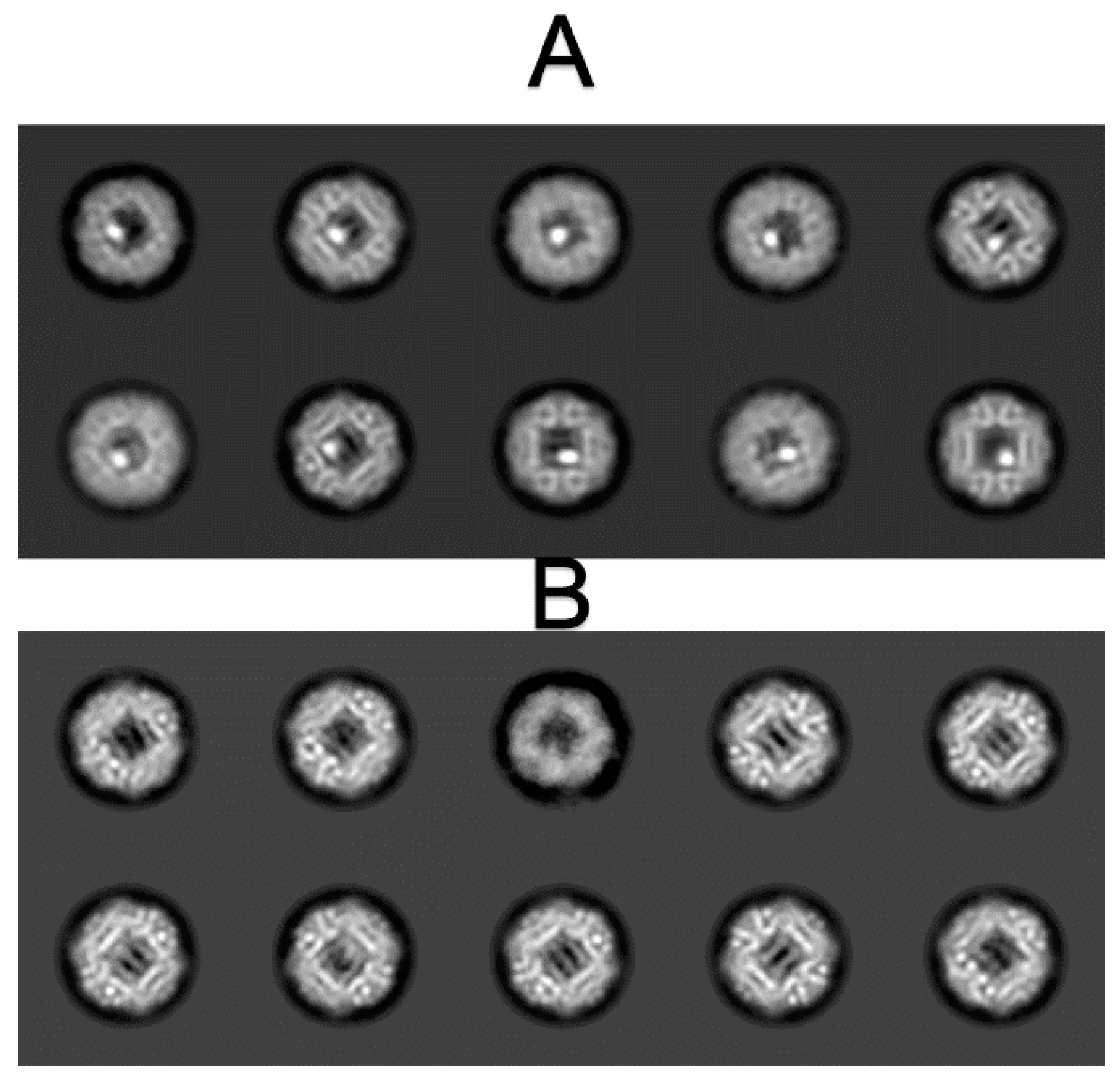 Ijms 22 06056 g0a1 Ijms 22 06056 g0a1