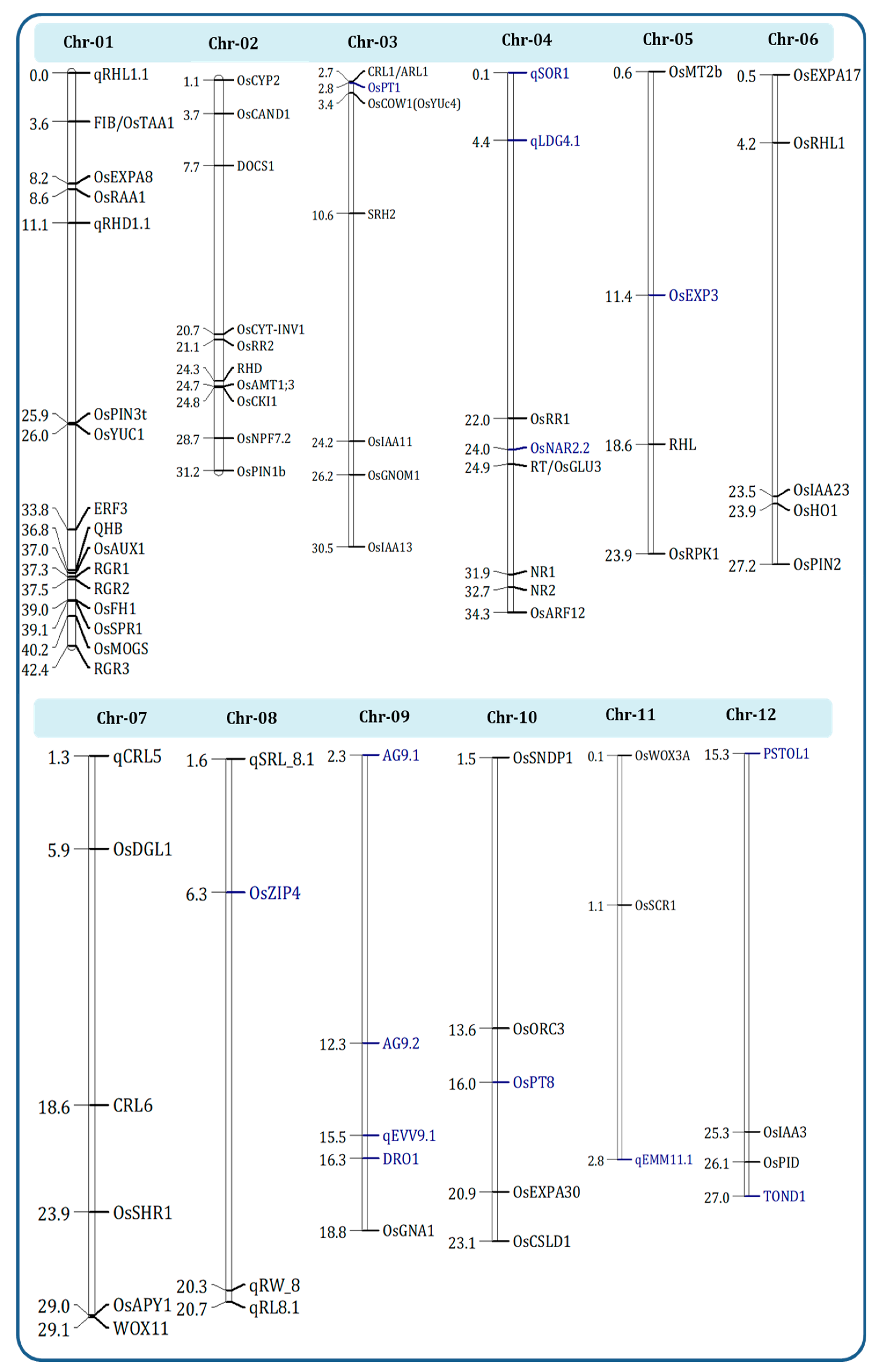 Ijms 22 06058 g004 Ijms 22 06058 g004