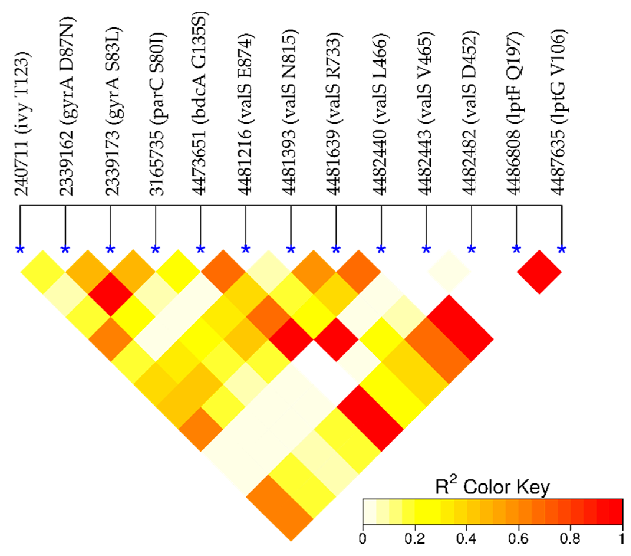 Ijms 22 06063 g005 Ijms 22 06063 g005
