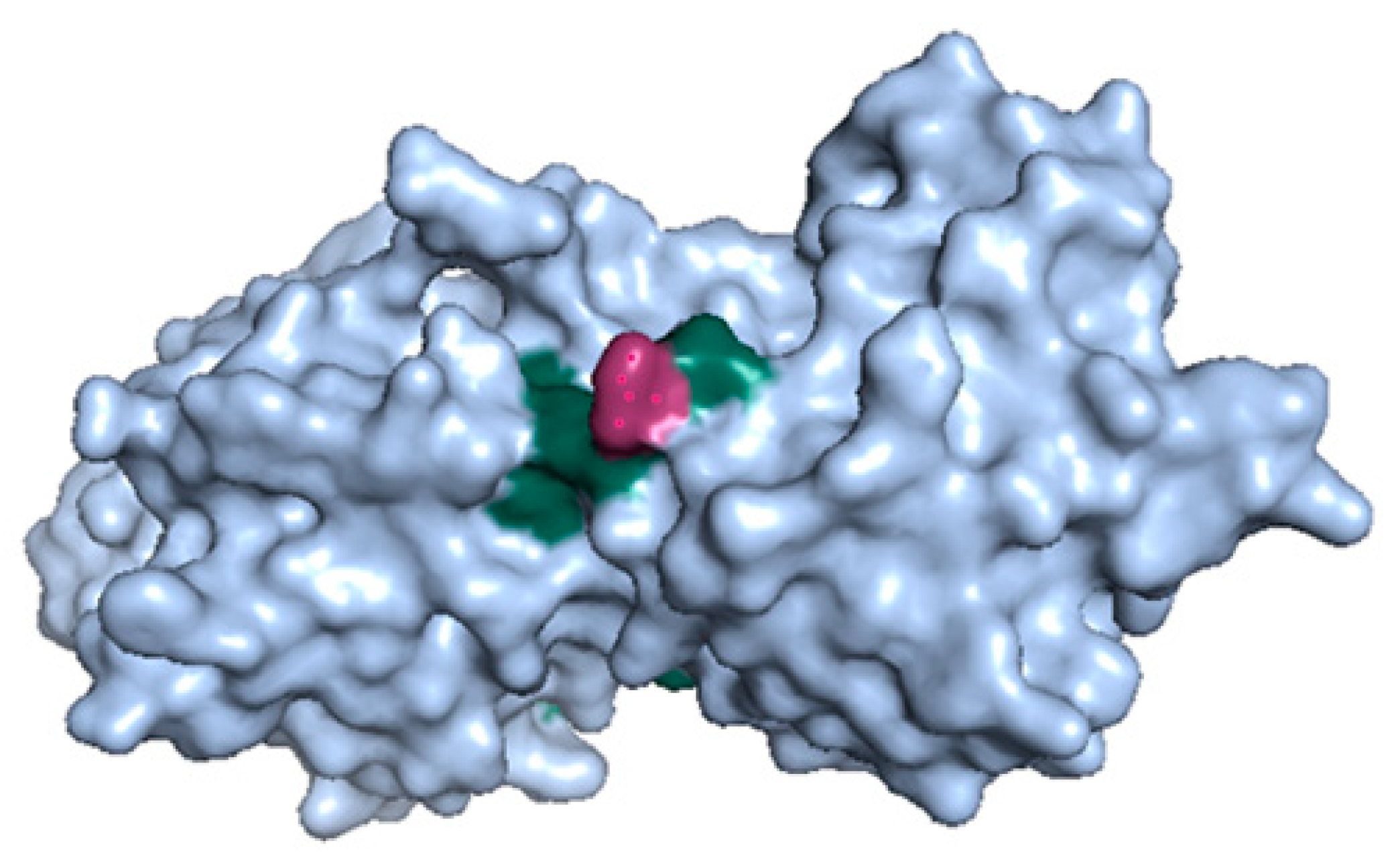 Ijms 22 06063 g006 Ijms 22 06063 g006