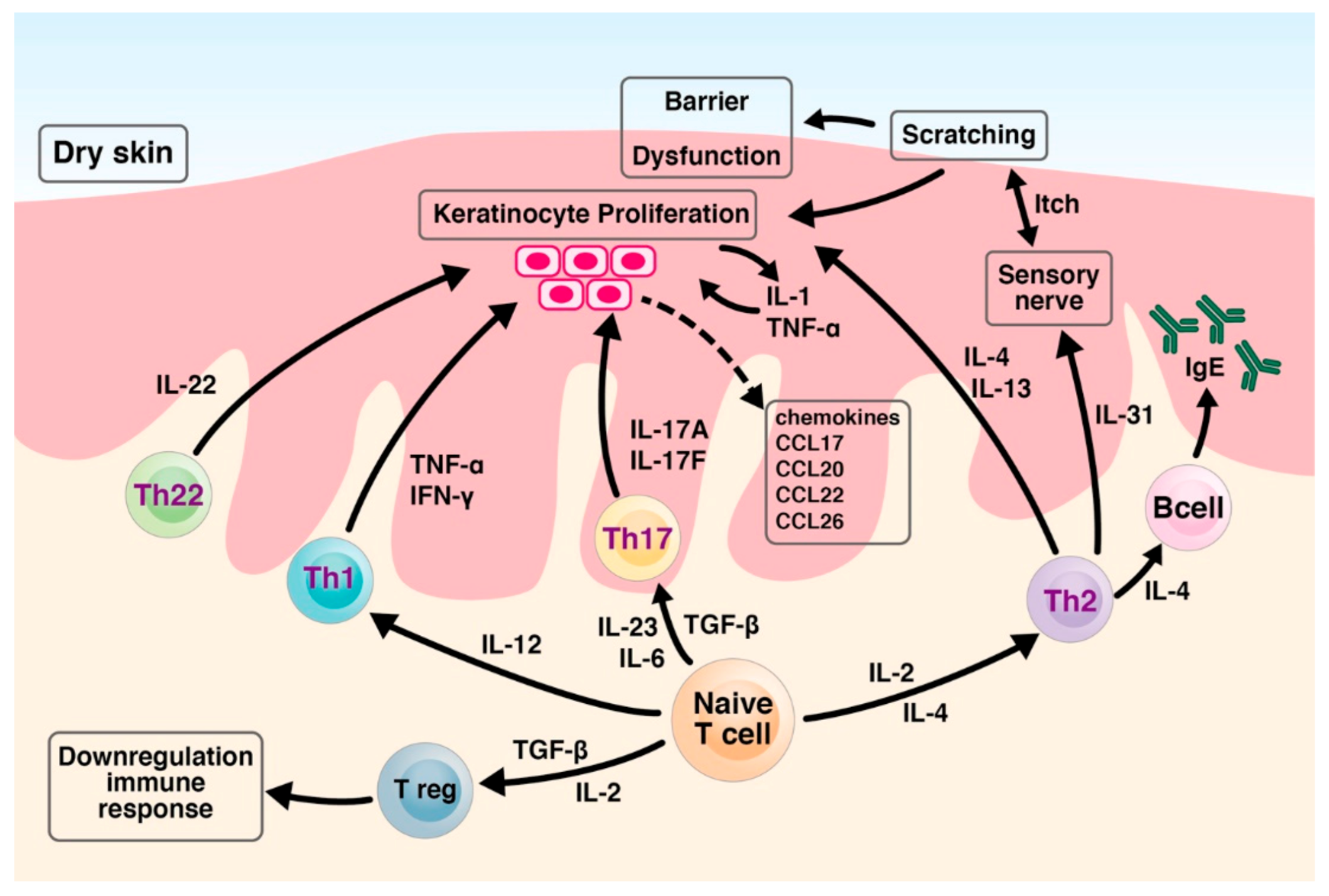 Ijms 22 06078 g001 Ijms 22 06078 g001