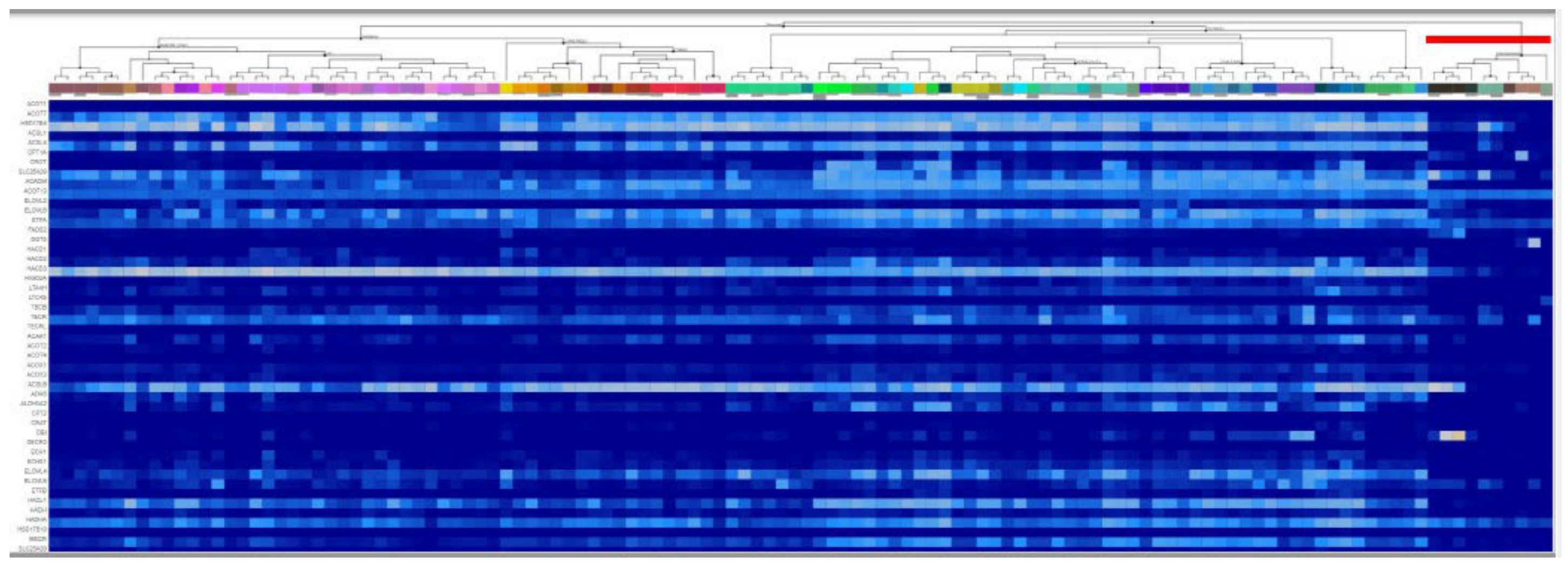 Ijms 22 06085 g006 Ijms 22 06085 g006