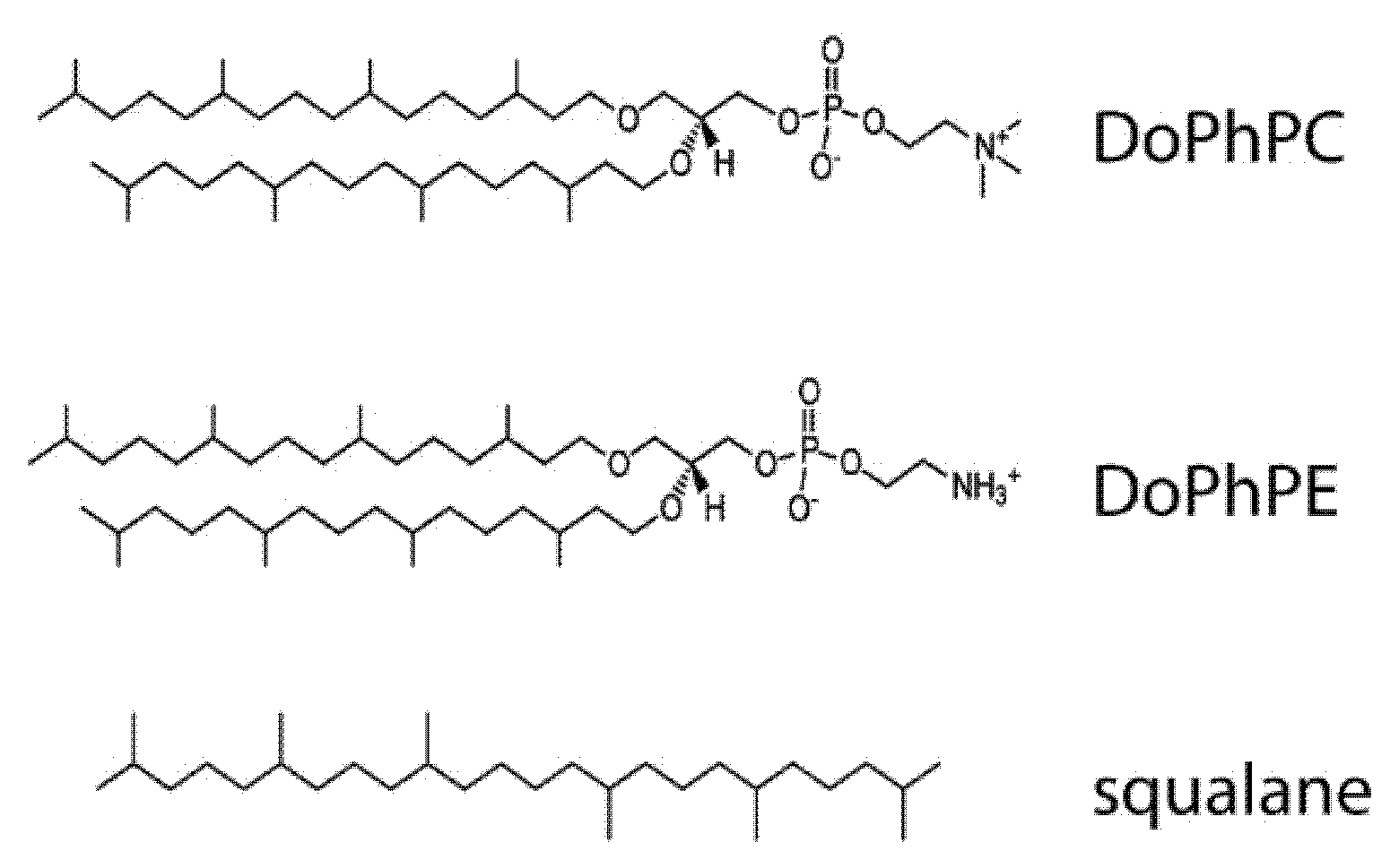 Ijms 22 06087 g001