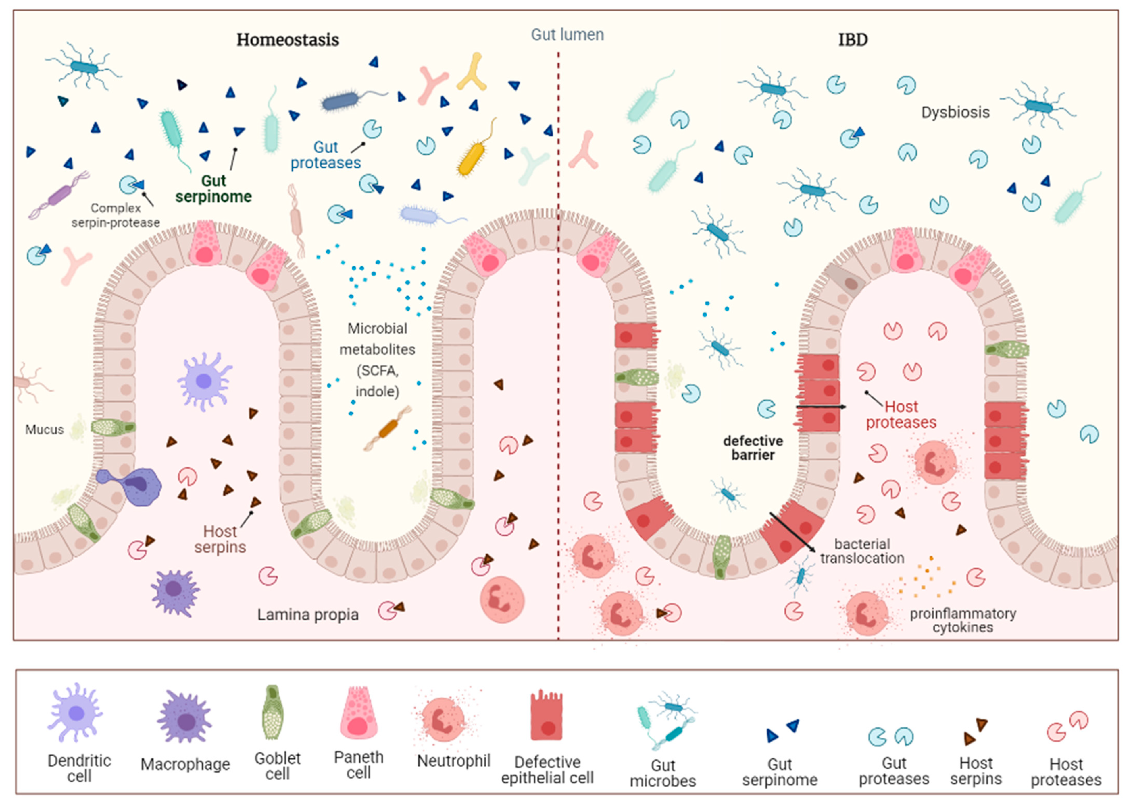 Ijms 22 06088 g001 Ijms 22 06088 g001