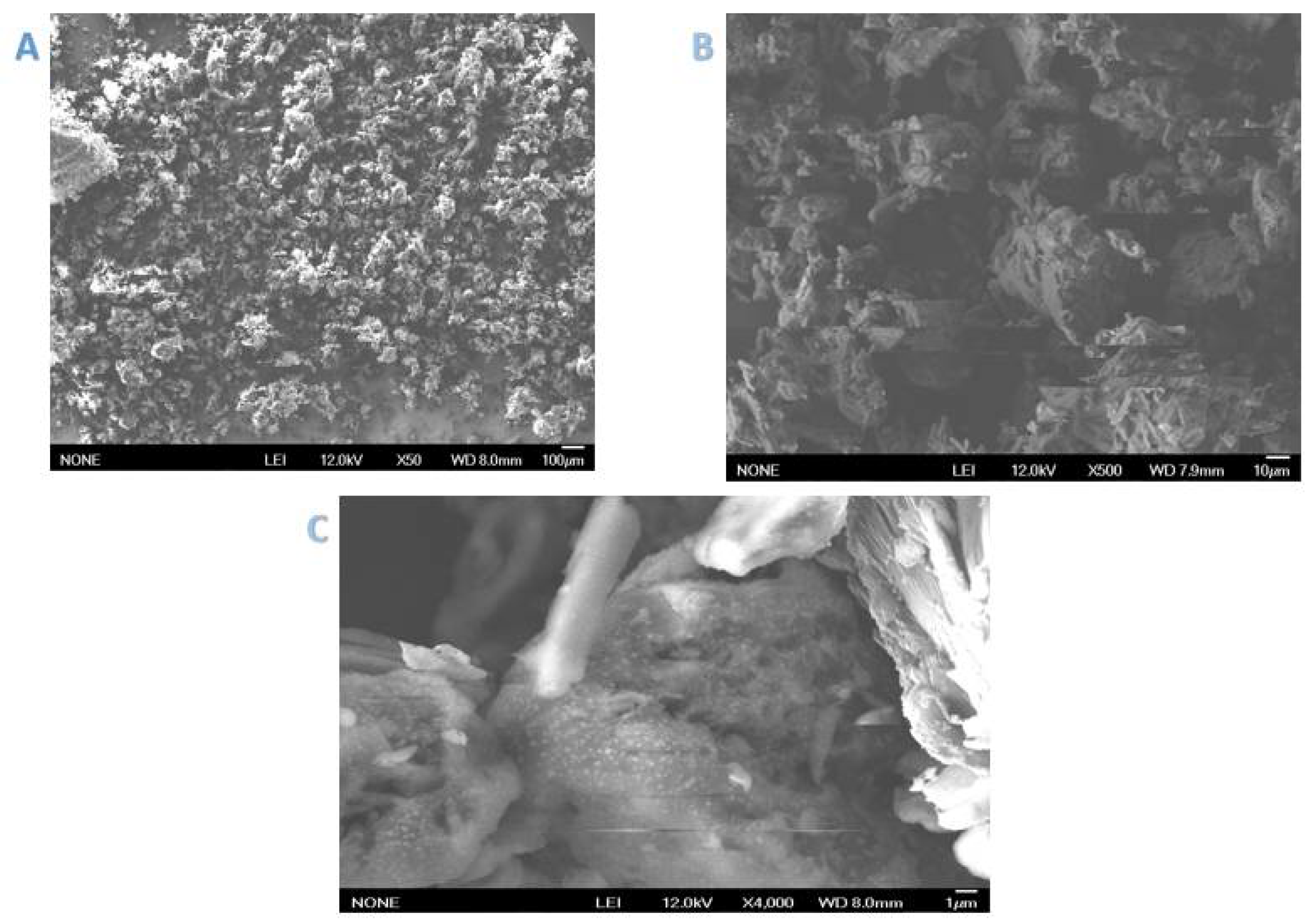 Ijms 22 06090 g002 Ijms 22 06090 g002