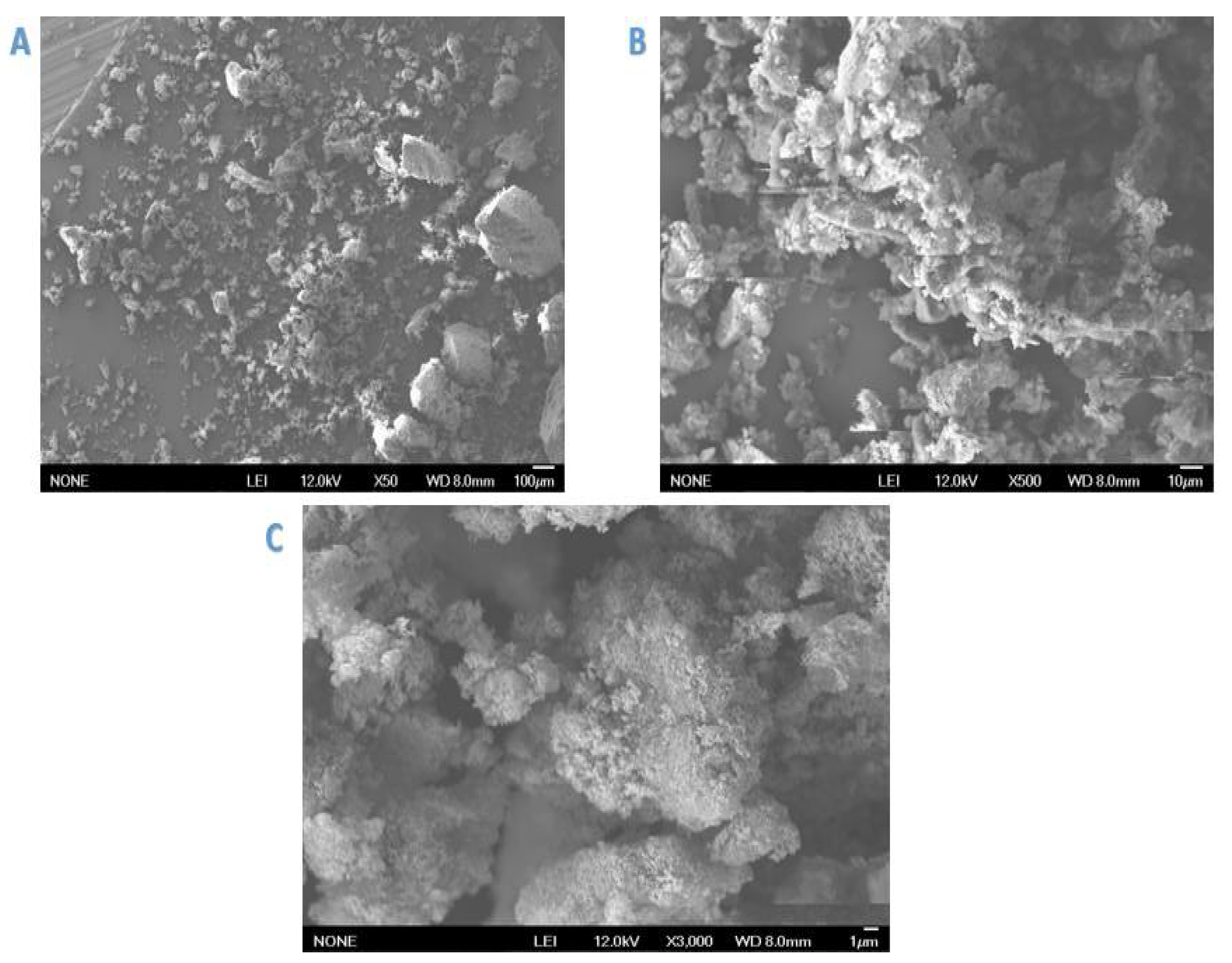 Ijms 22 06090 g003 Ijms 22 06090 g003