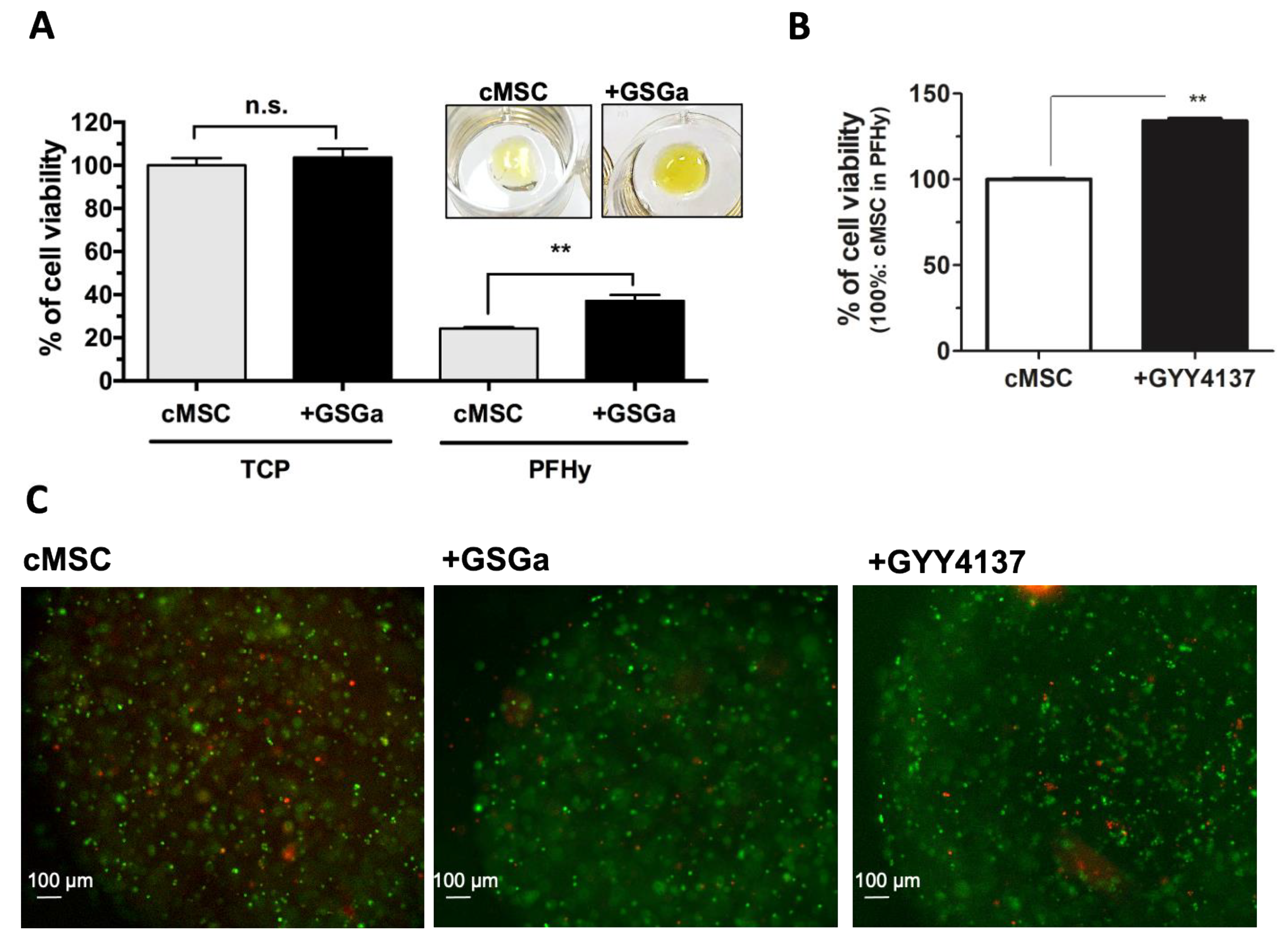 Ijms Free Full Text Photo Polymerization Damage Protection By Hydrogen Sulfide Donors For 3d Cell Culture Systems Optimization Html