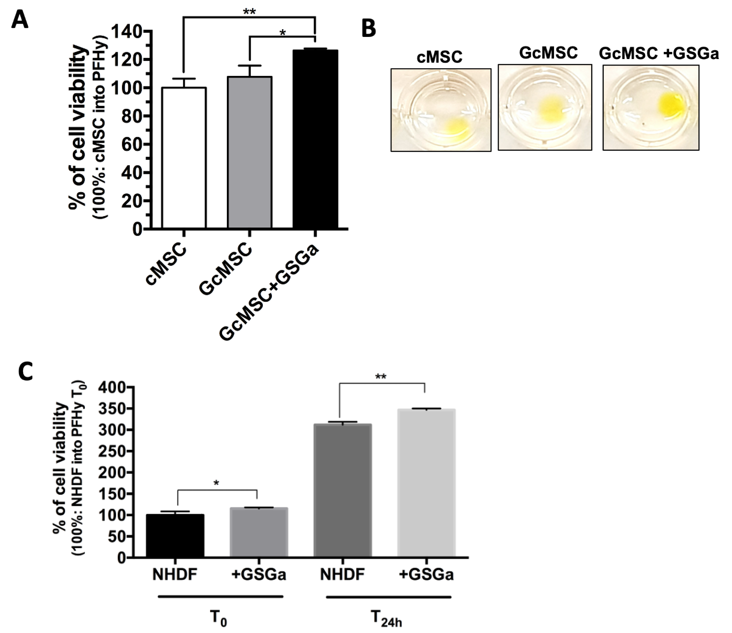 Ijms 22 06095 g005 Ijms 22 06095 g005