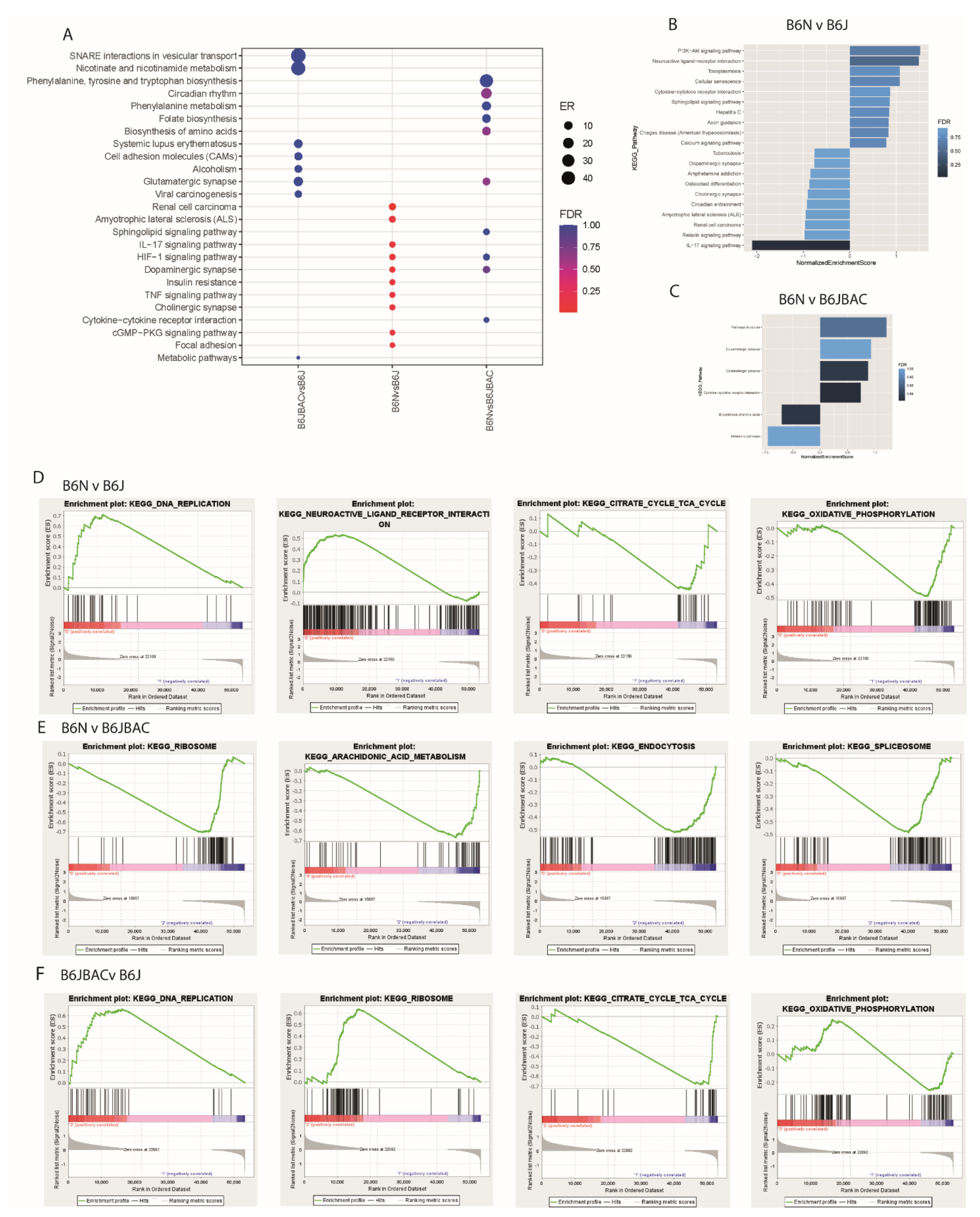 Ijms 22 06101 g002 Ijms 22 06101 g002