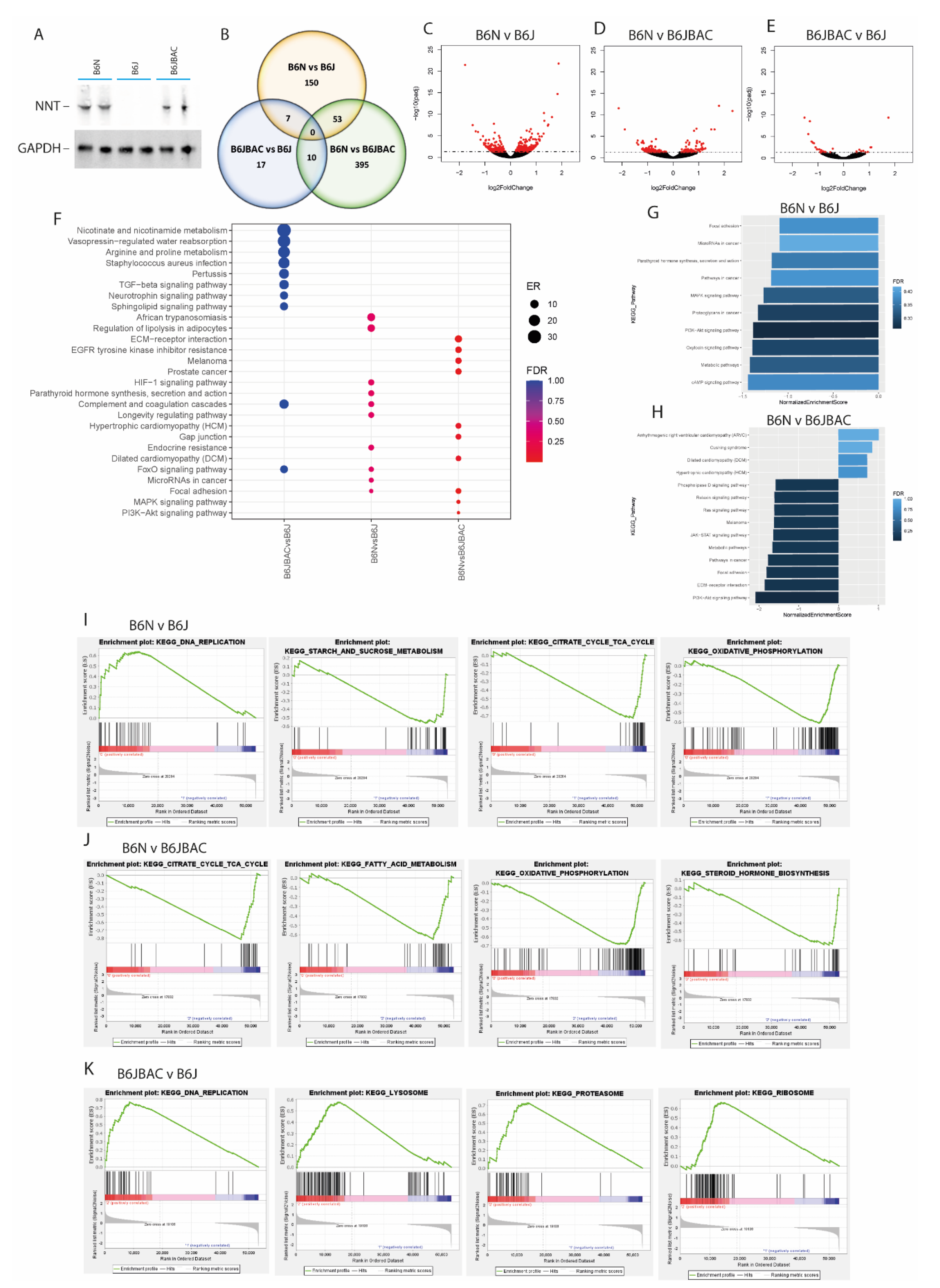 Ijms 22 06101 g003 Ijms 22 06101 g003