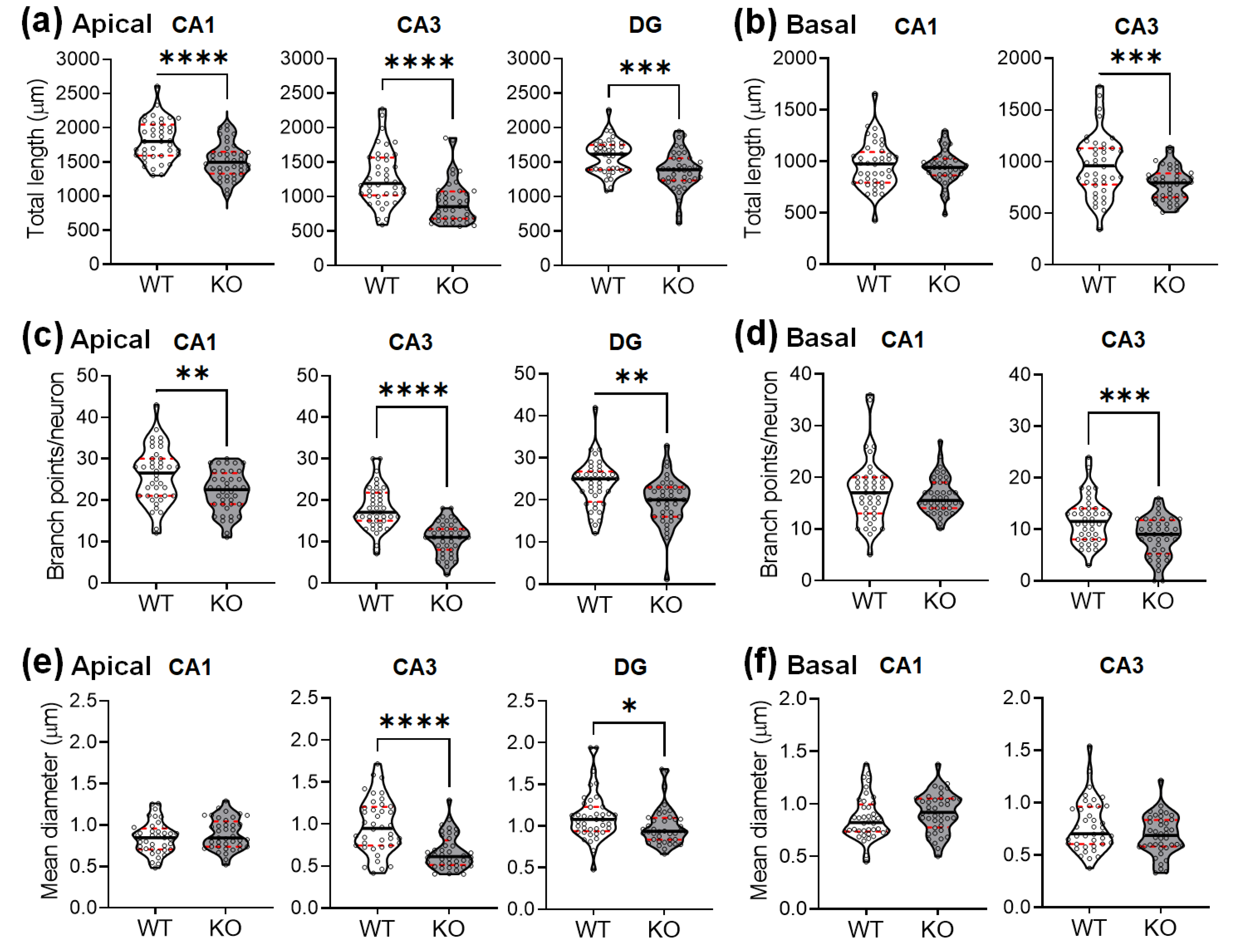 Ijms 22 06103 g003 Ijms 22 06103 g003