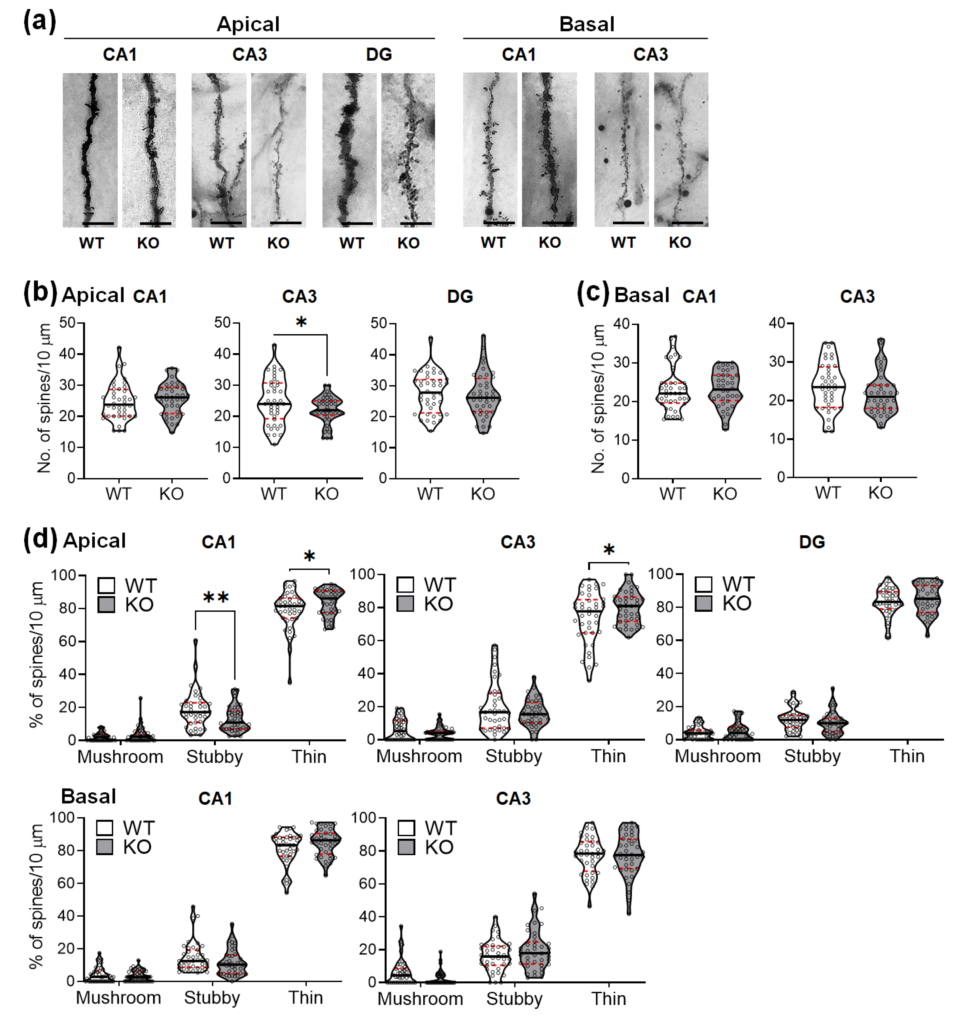 Ijms 22 06103 g004 Ijms 22 06103 g004