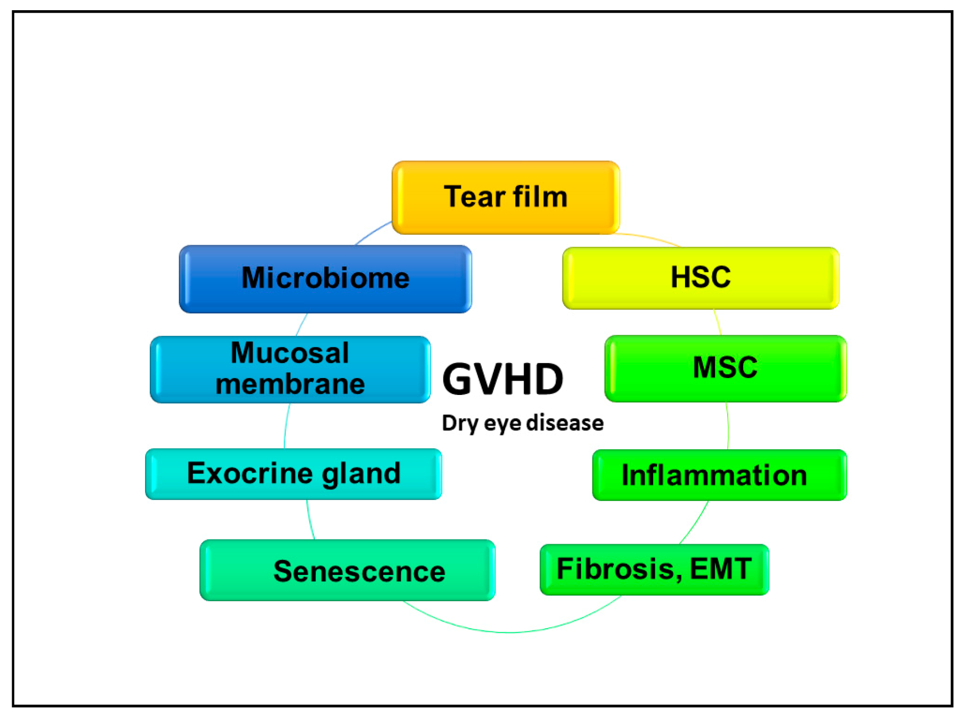 IJMS | Free Full-Text | Cascade of Inflammatory, Fibrotic Processes, and  Stress-Induced Senescence in Chronic GVHD-Related Dry Eye Disease