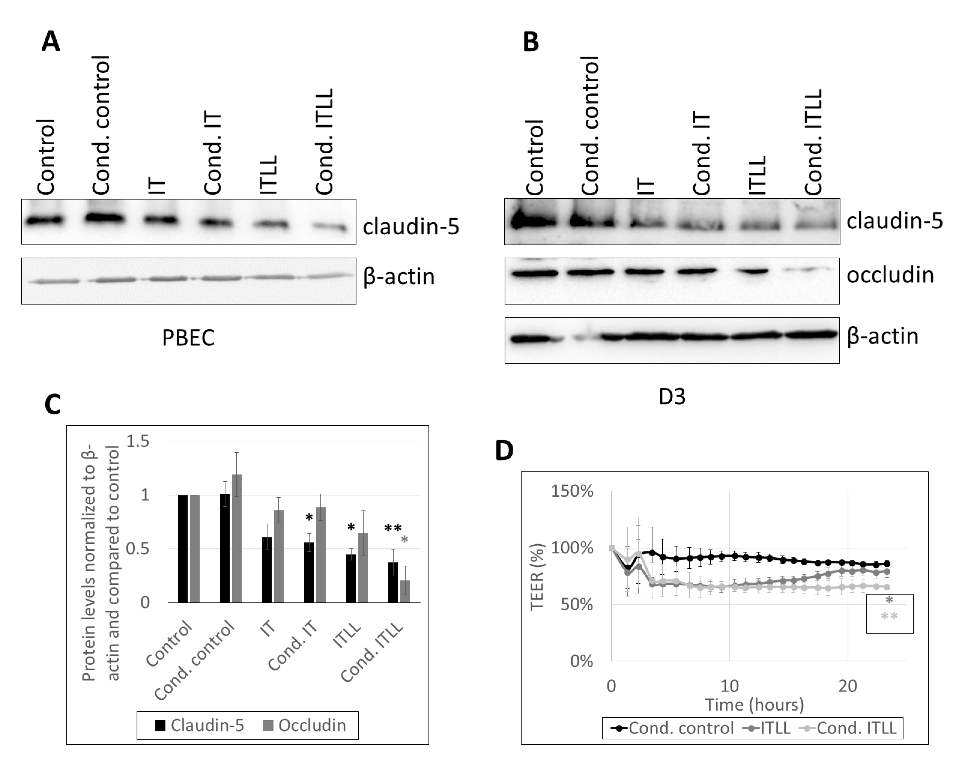 Ijms 22 06122 g003 Ijms 22 06122 g003
