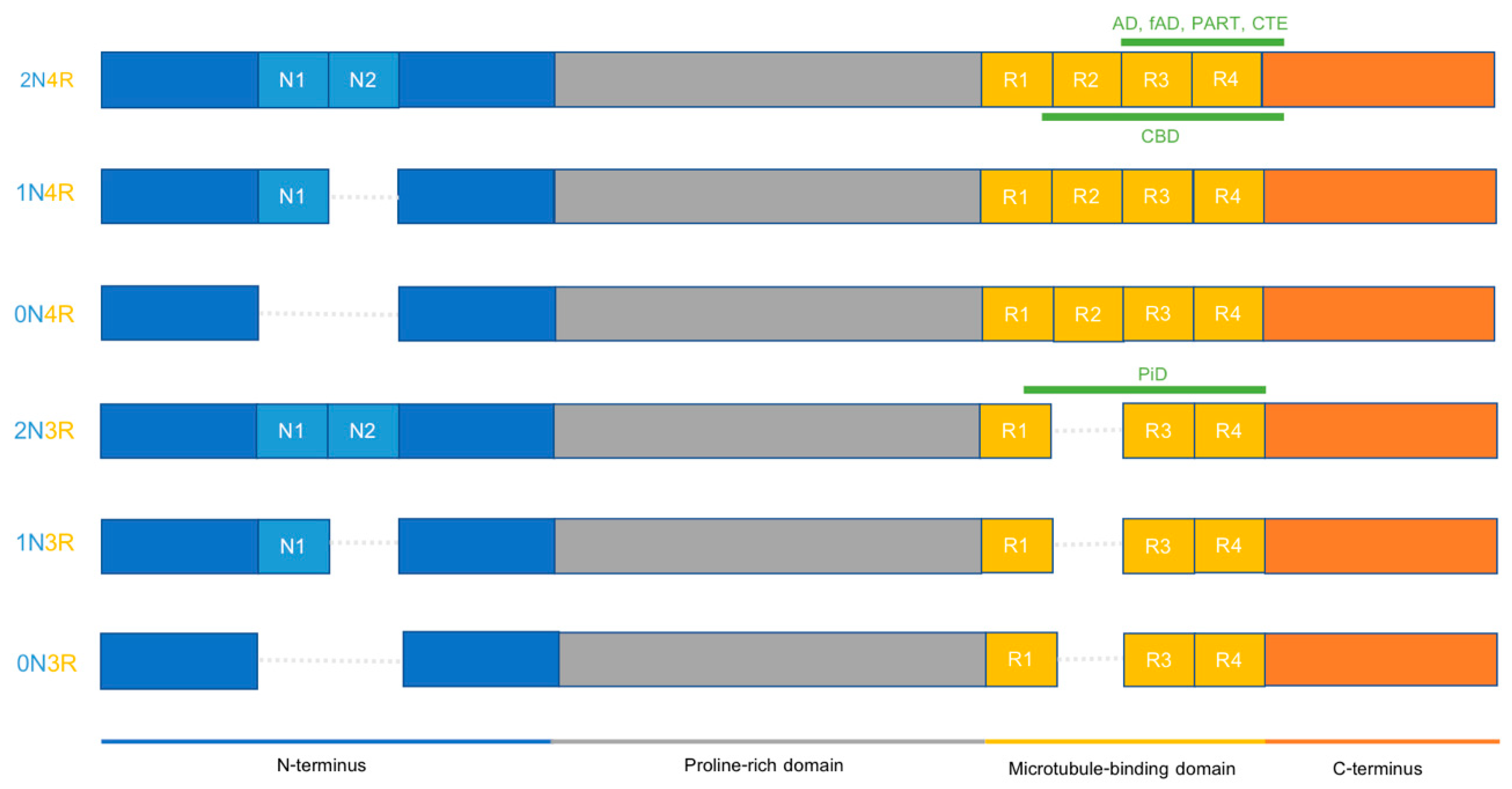 Ijms 22 06132 g001 Ijms 22 06132 g001