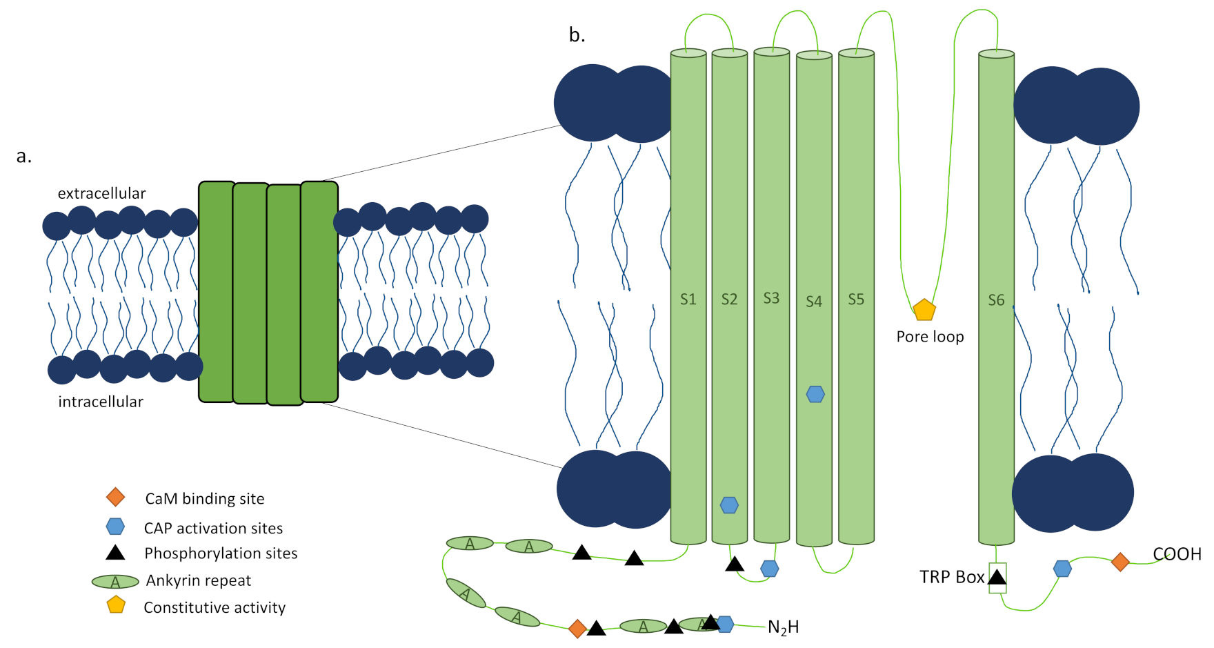 Ijms 22 06135 g002 Ijms 22 06135 g002