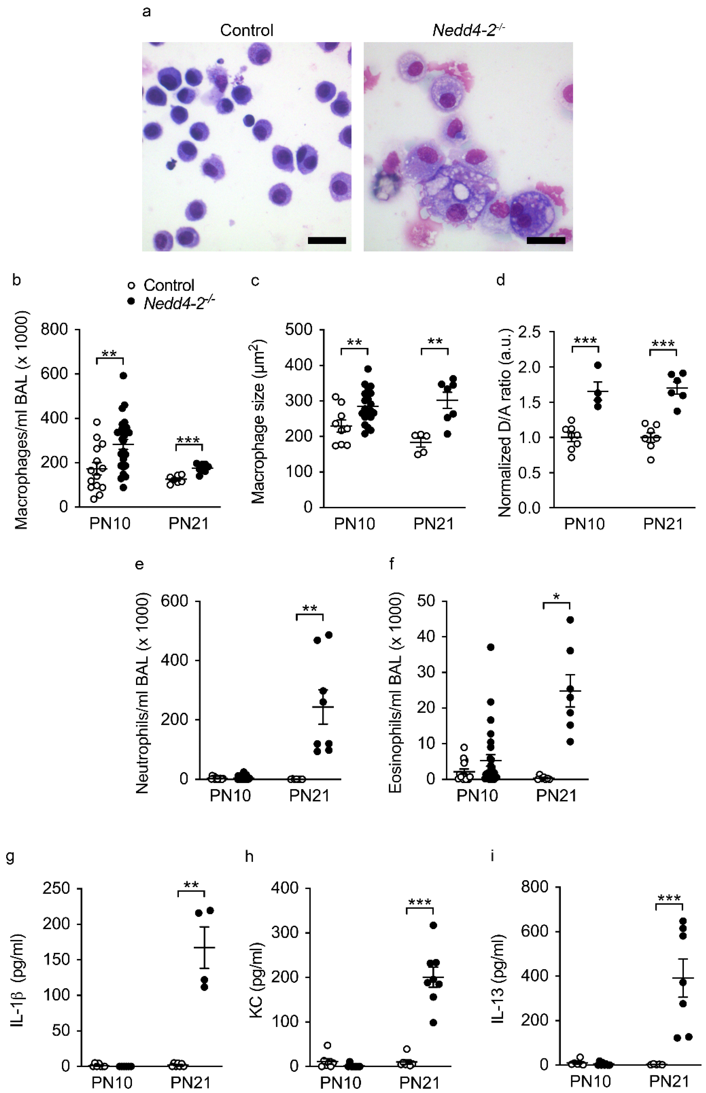 Ijms 22 06146 g003 Ijms 22 06146 g003