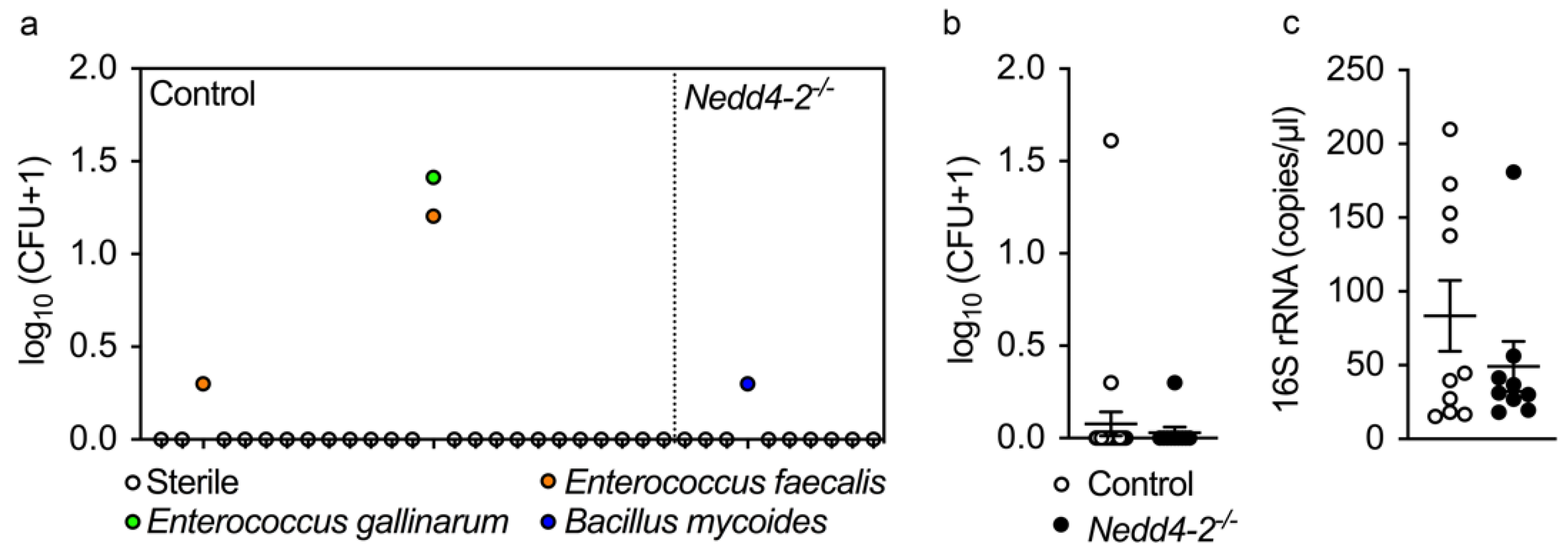 Ijms 22 06146 g004 Ijms 22 06146 g004