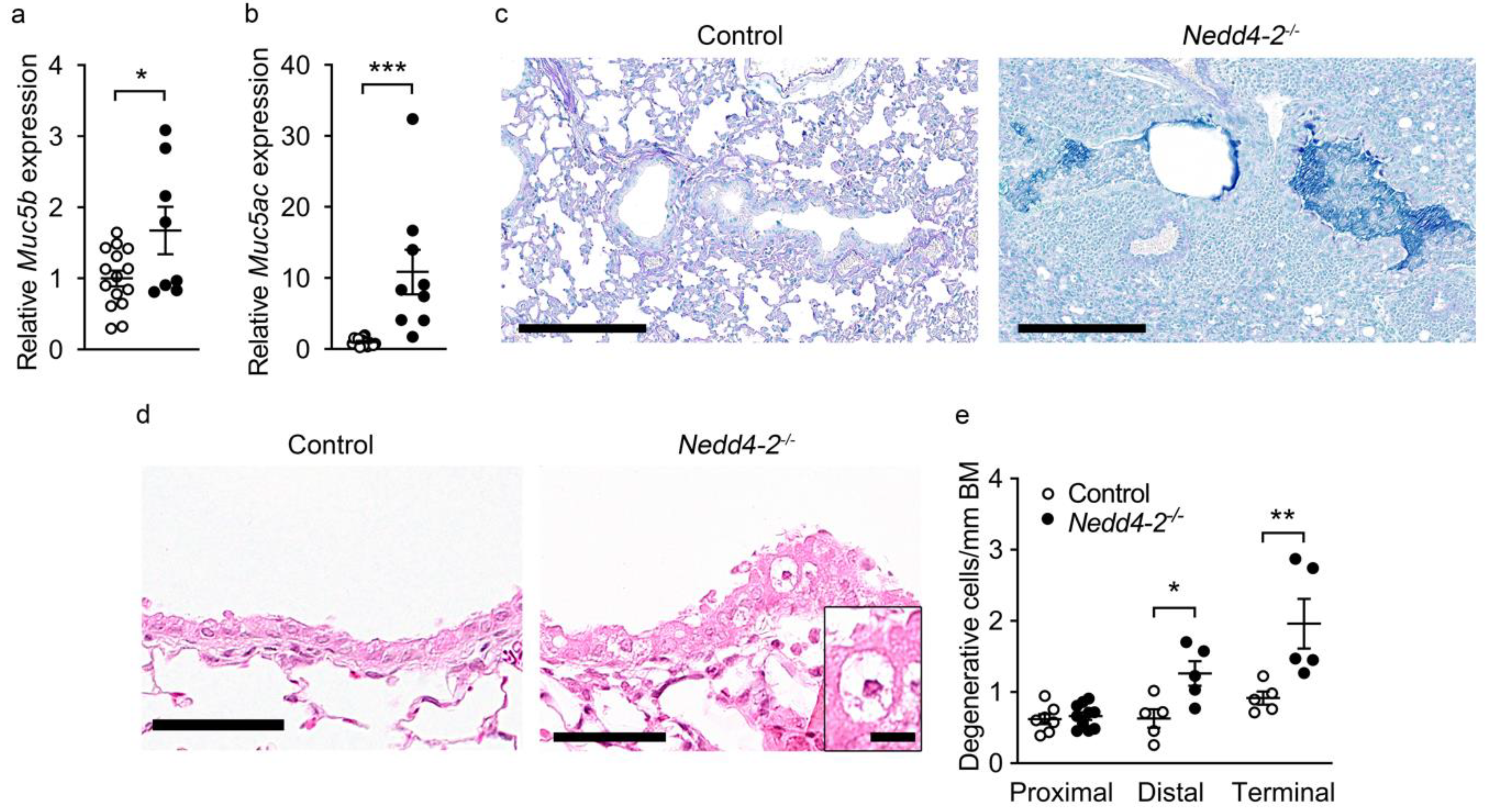Ijms 22 06146 g005 Ijms 22 06146 g005