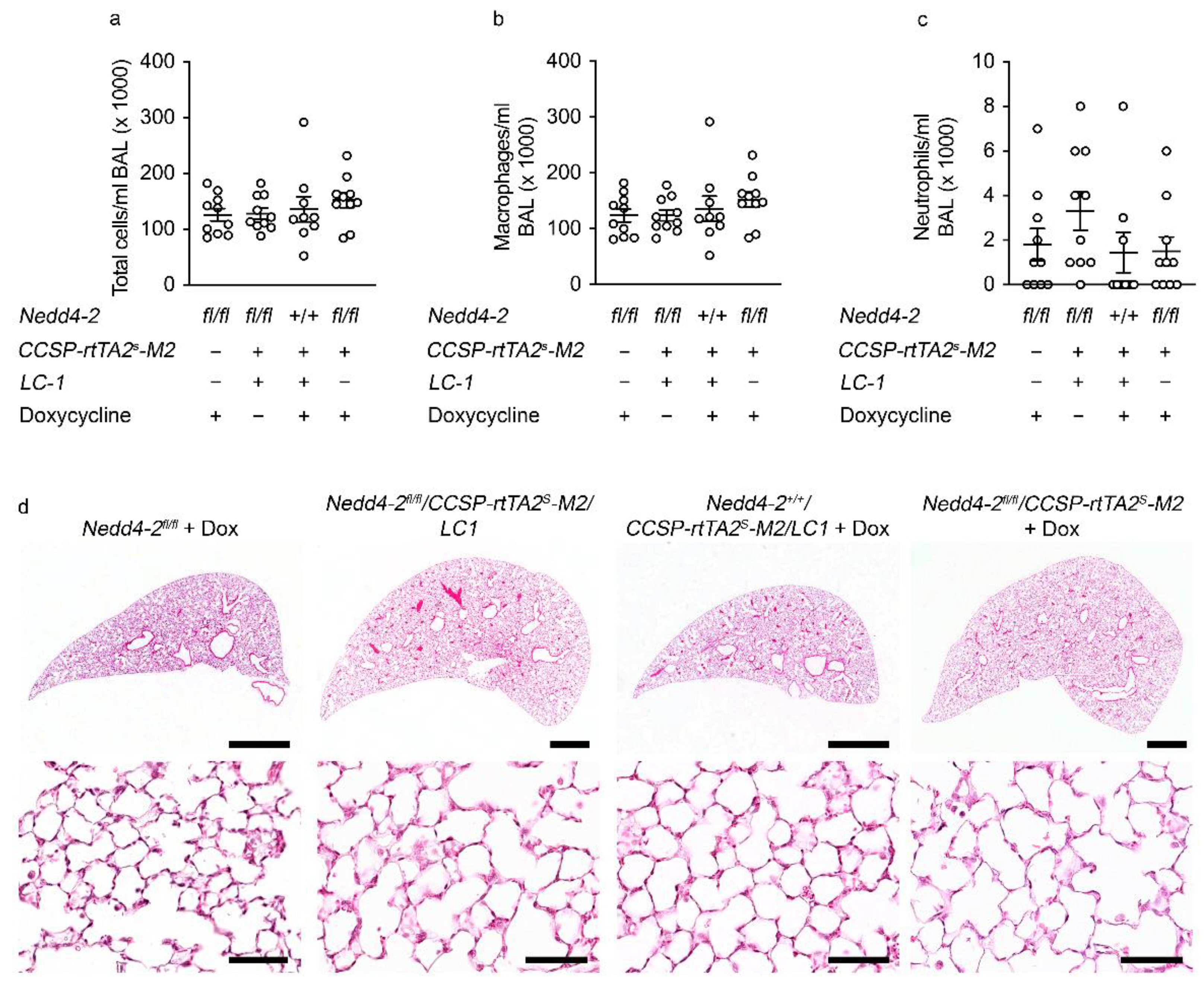 Ijms 22 06146 g0a1 Ijms 22 06146 g0a1