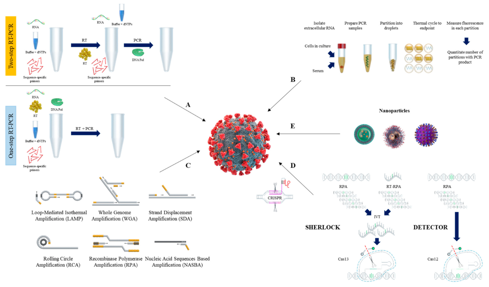 Нуклеиновые кислоты тест. Nucleic acid Amplification Testing. Методы амплификации. SARS-cov-2 Дельта штамм в организме химические реакции. Реакция транс-криптационной амплификации NASBA.