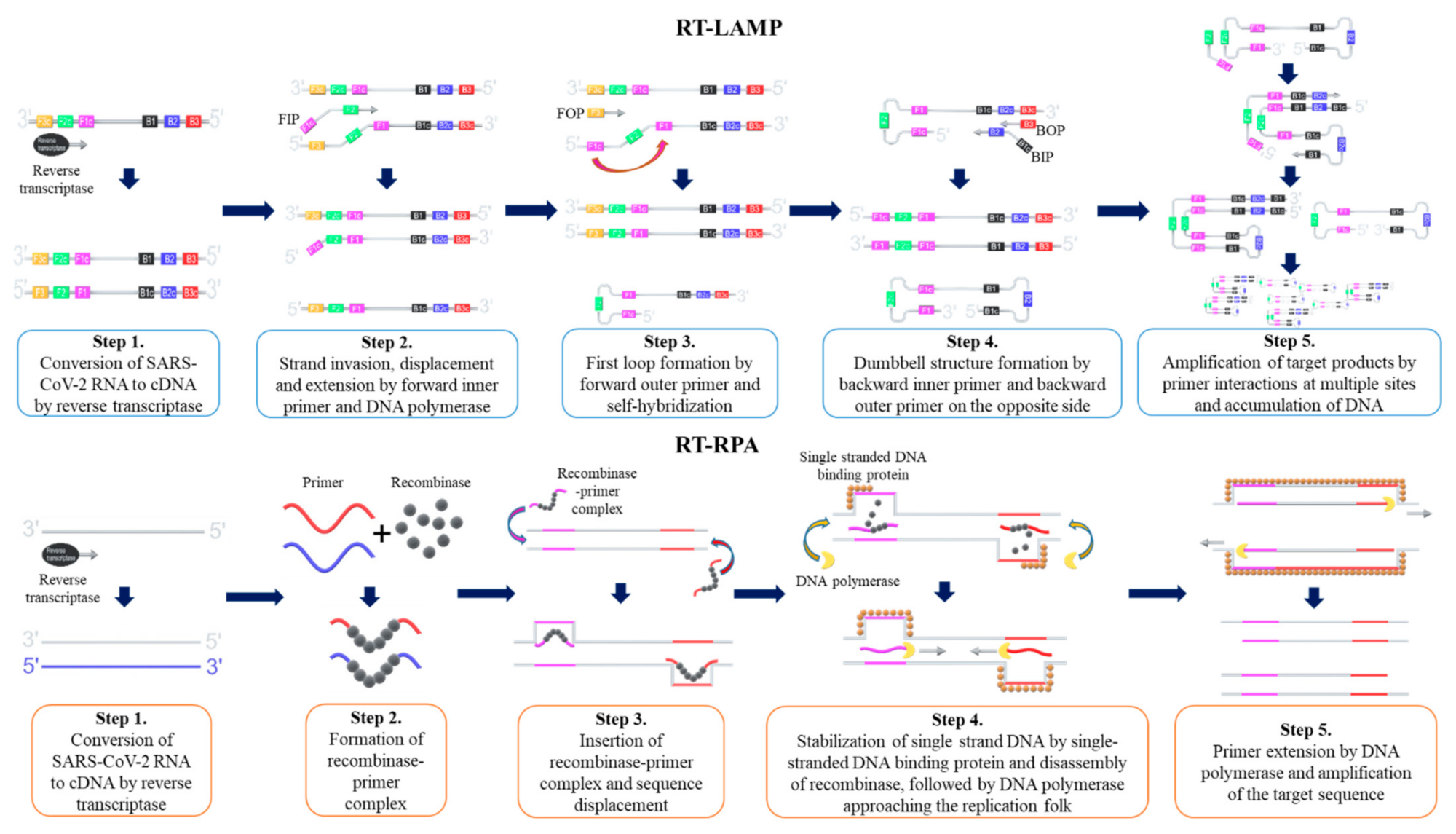 COVID-19 mutations: An overview