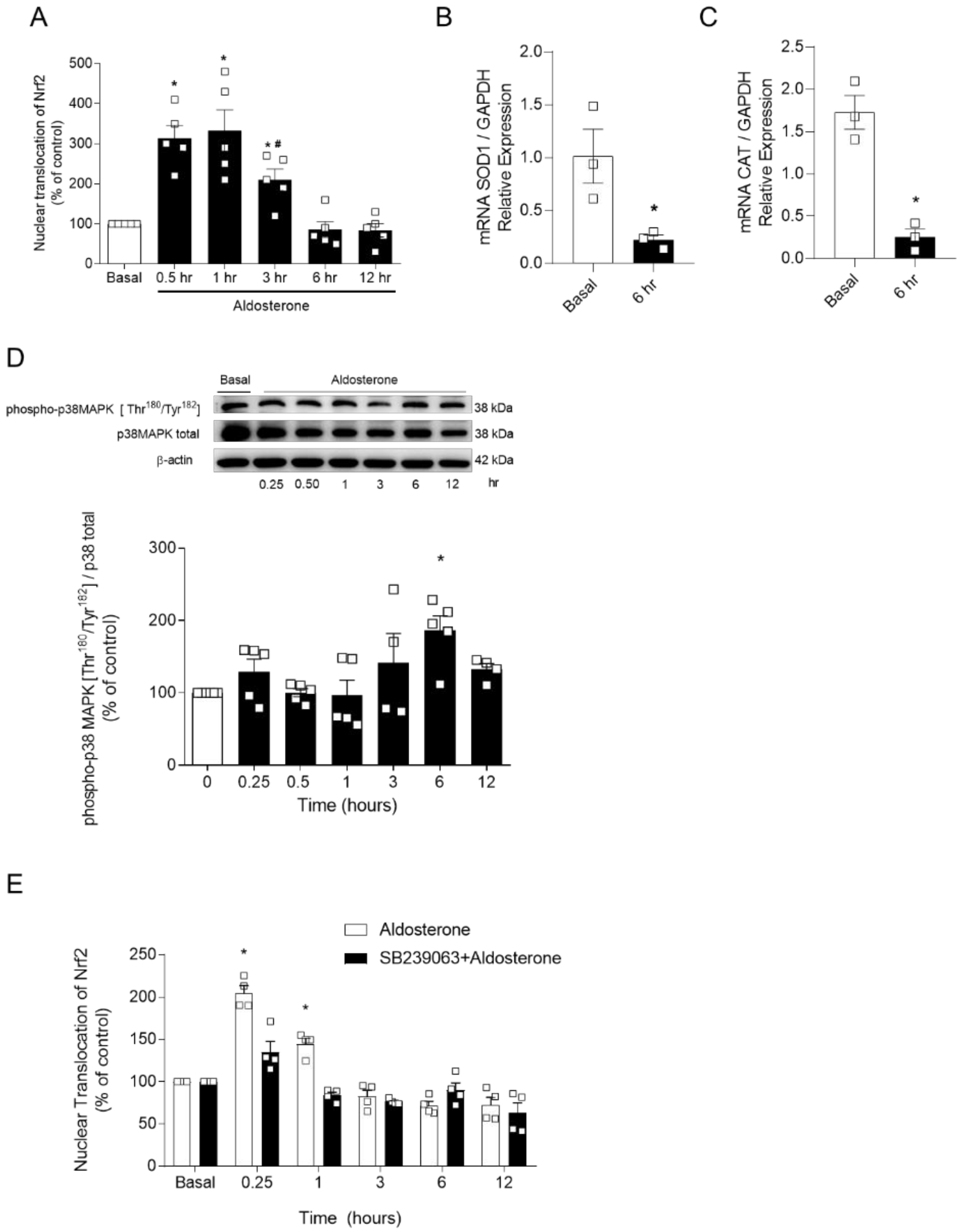 Ijms 22 06154 g004 Ijms 22 06154 g004